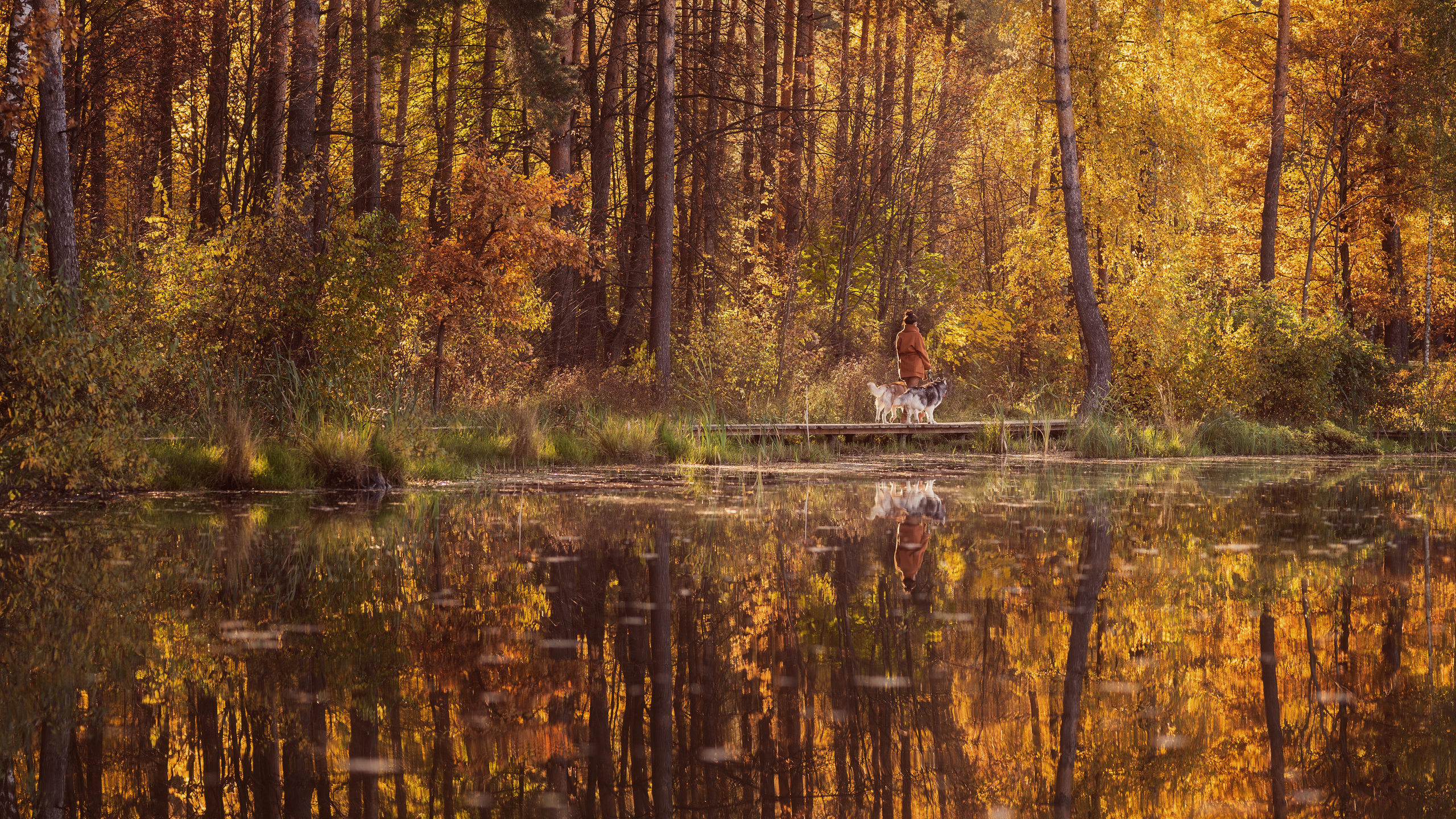 Путь домой. Семейный фотограф Новая Рига (Звенигород, Истра) Евгения Литовченко