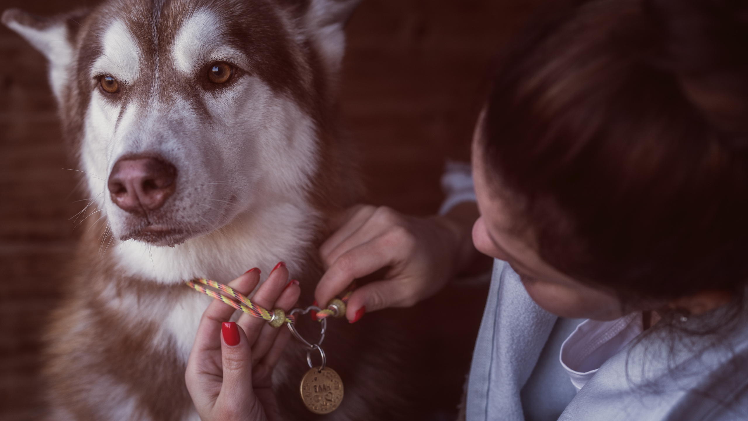 Путь домой. Семейный фотограф Новая Рига (Звенигород, Истра) Евгения Литовченко
