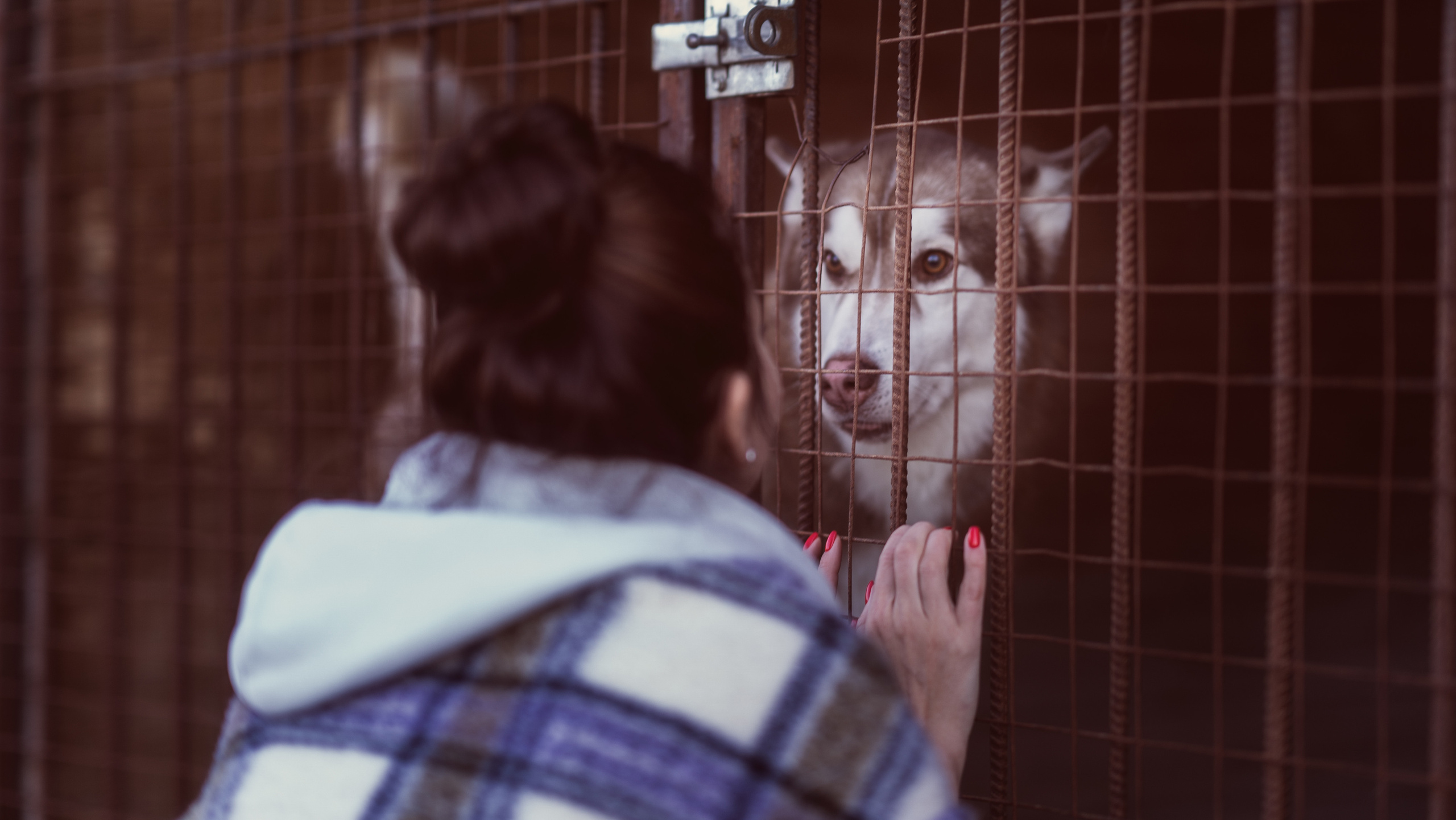 Путь домой. Семейный фотограф Новая Рига (Звенигород, Истра) Евгения Литовченко