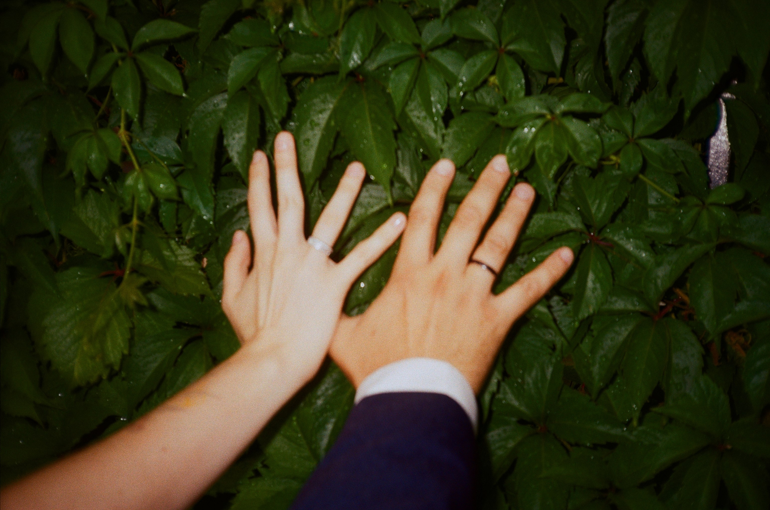 Свадьбы. Katya Panova