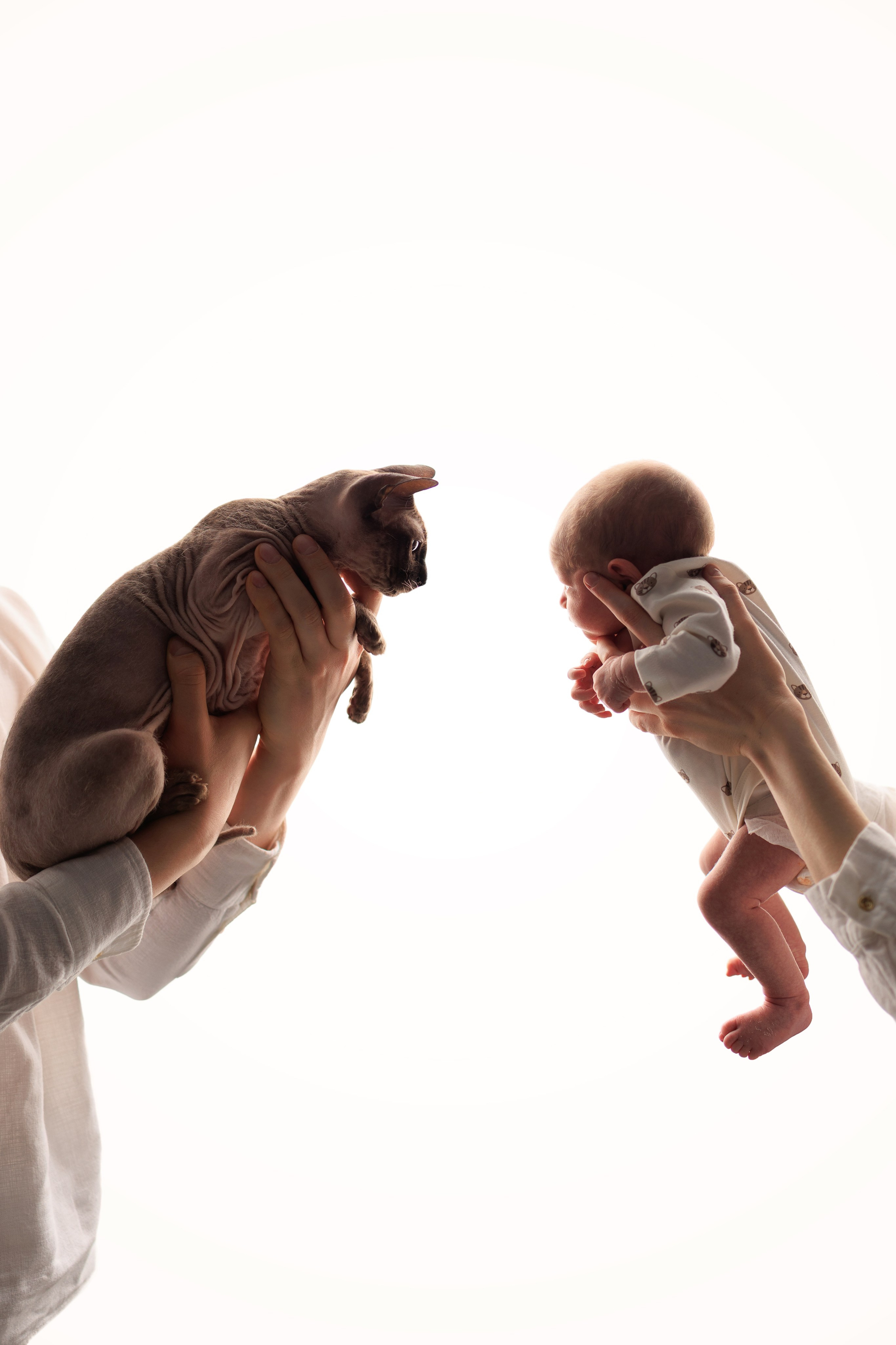 Новорожденные. Фотограф новорожденных Мари Масик  Ростов-на-Дону