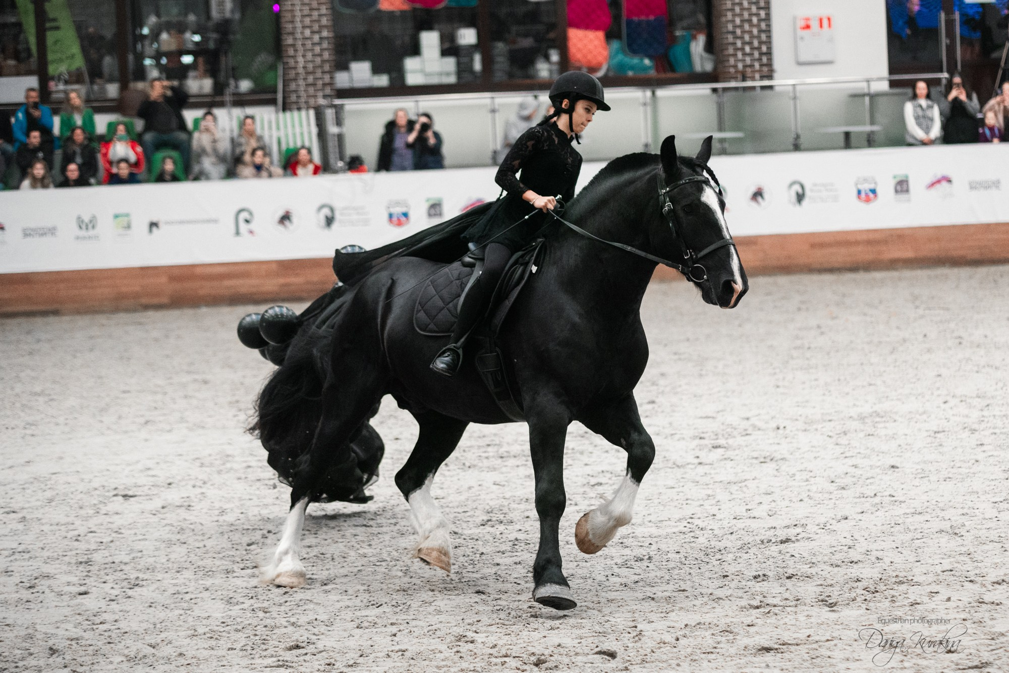 8-я международная выставка Конная Россия. Конный фотограф Куракина Дарья • Фотосессии с лошадьми