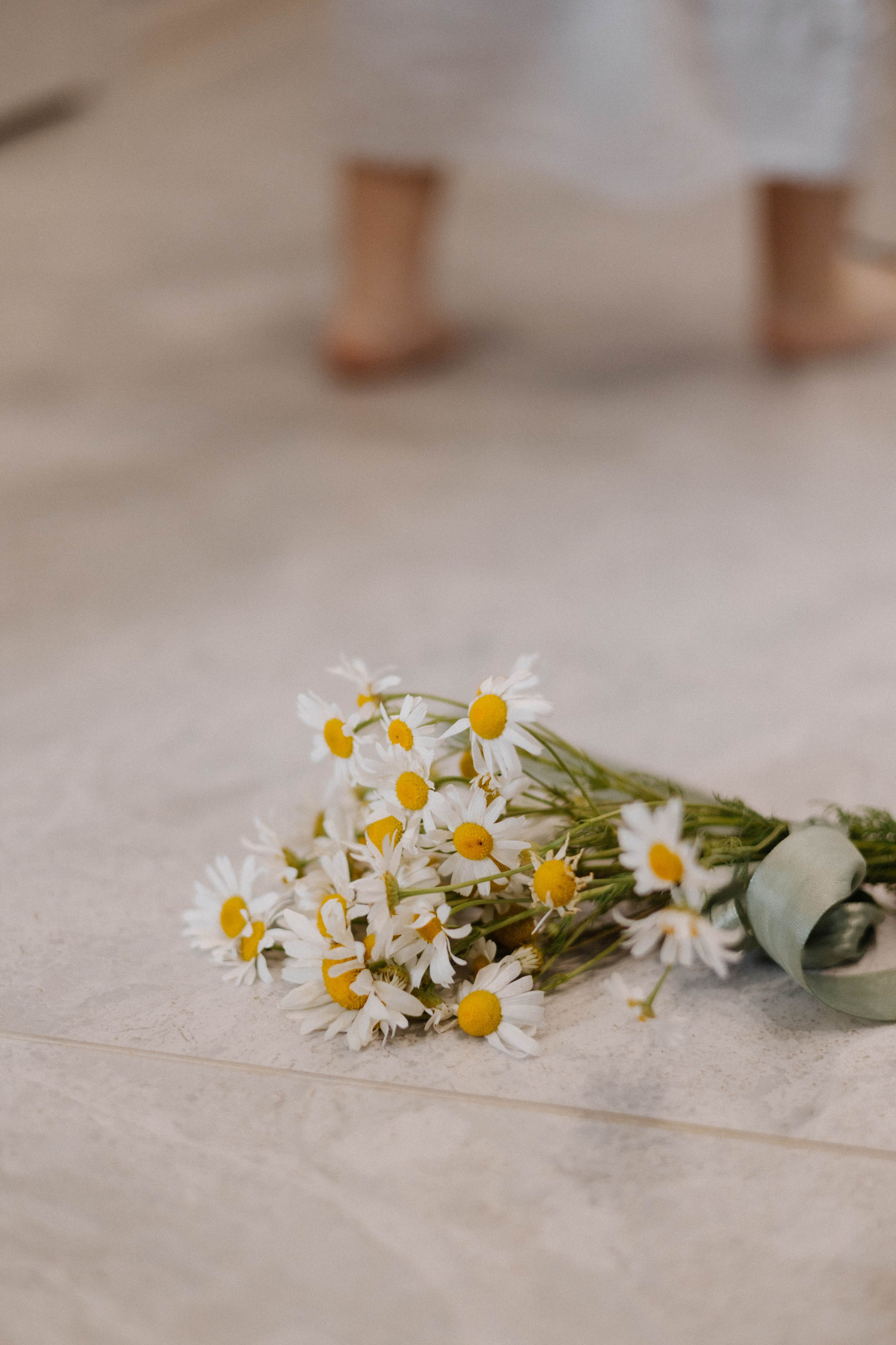 Семейные съемки. Семейный и репортажный фотограф в Пскове Виктория Колесникова