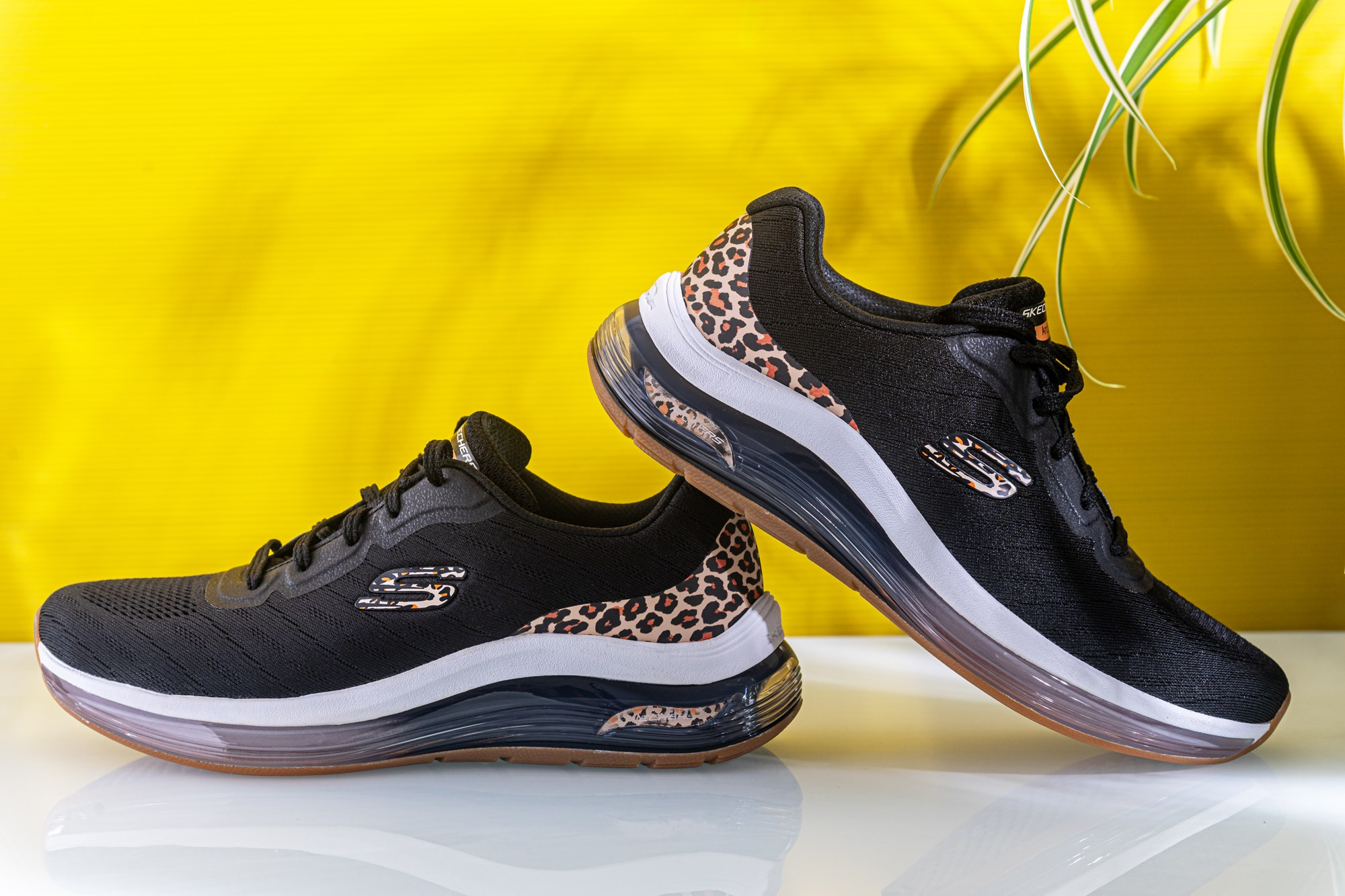 Still life. Мария Абаза, фотограф. Реховот, Израиль