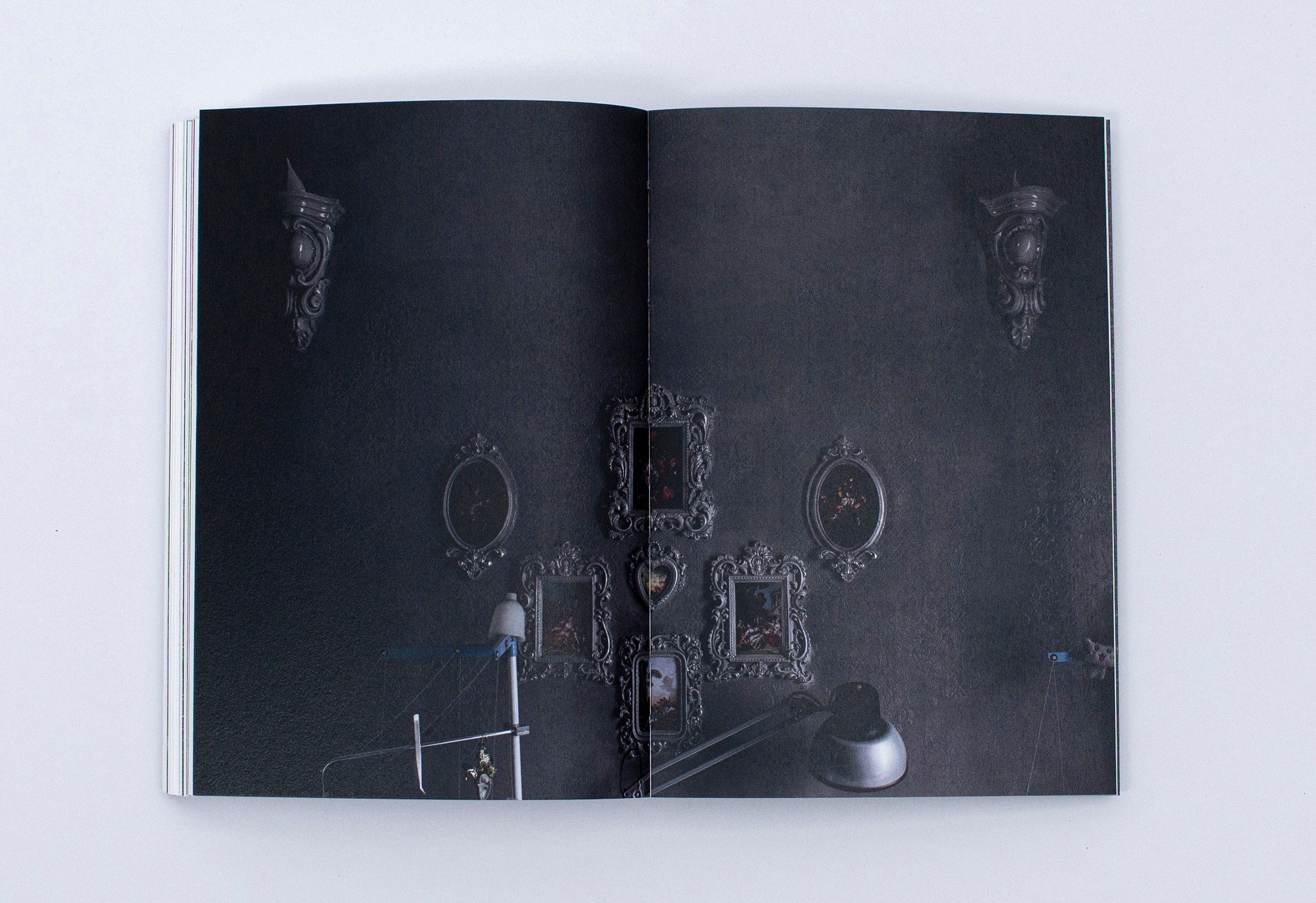 Книга. Фотограф в Москве Алейникова Евгения