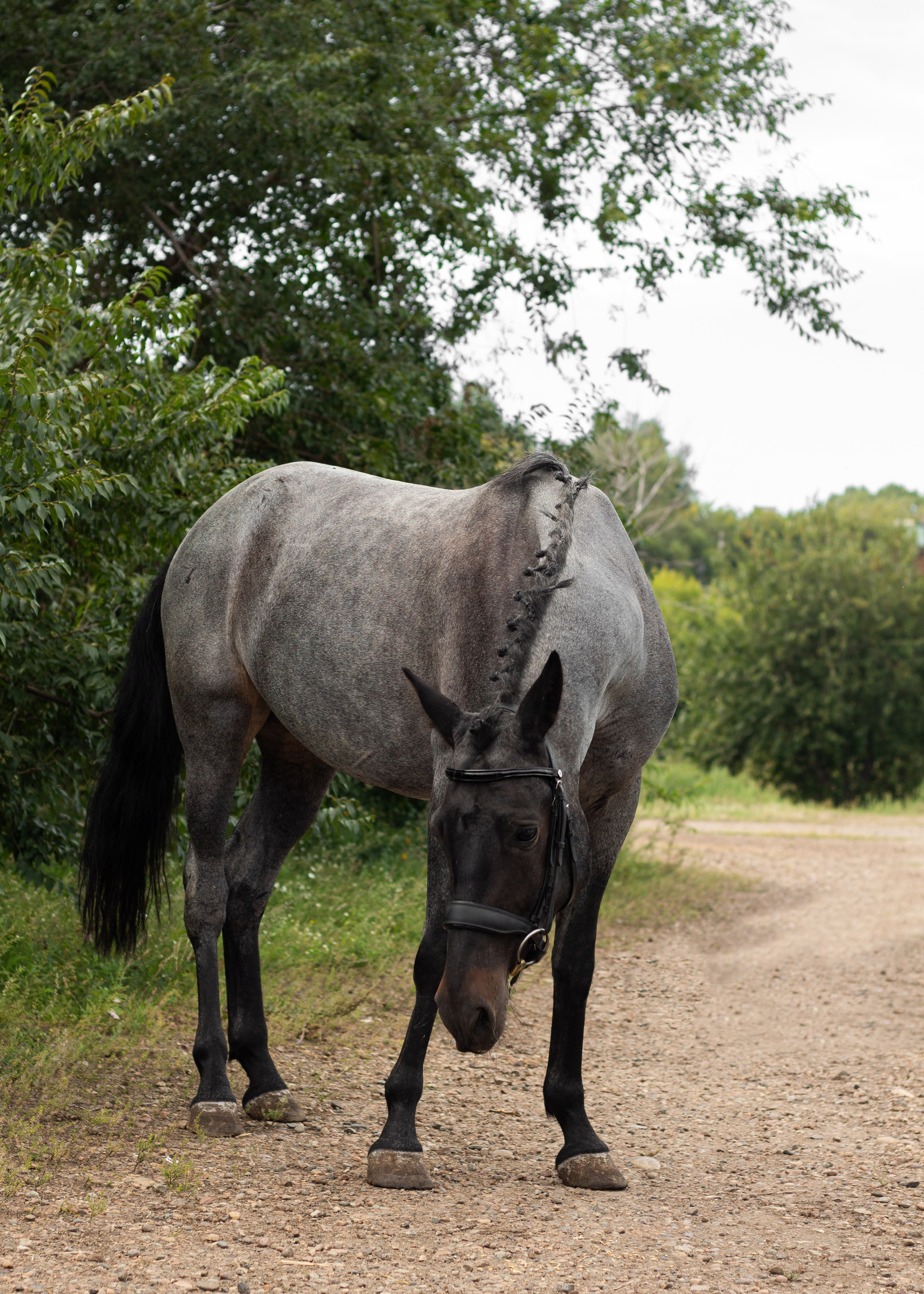 Алина и ЛаГерда. Фотограф в Иркутске, Харитонова Елизавета