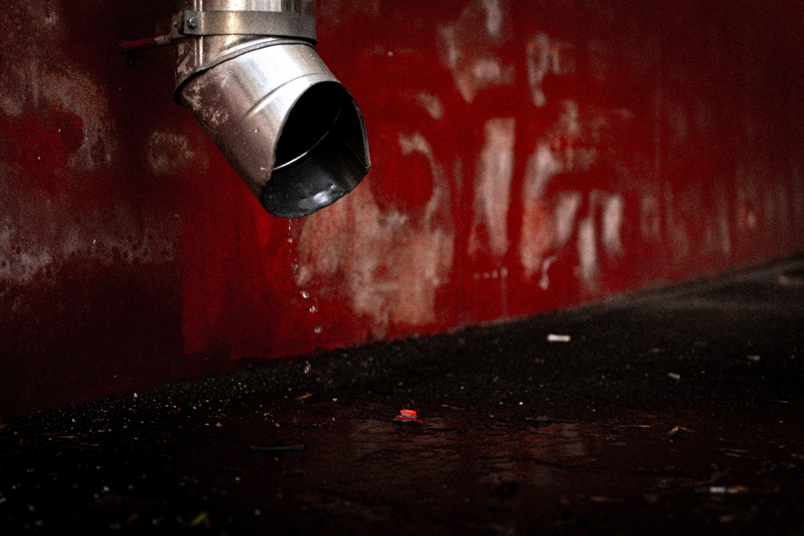 (not) a ballerina. Polypolarphotography