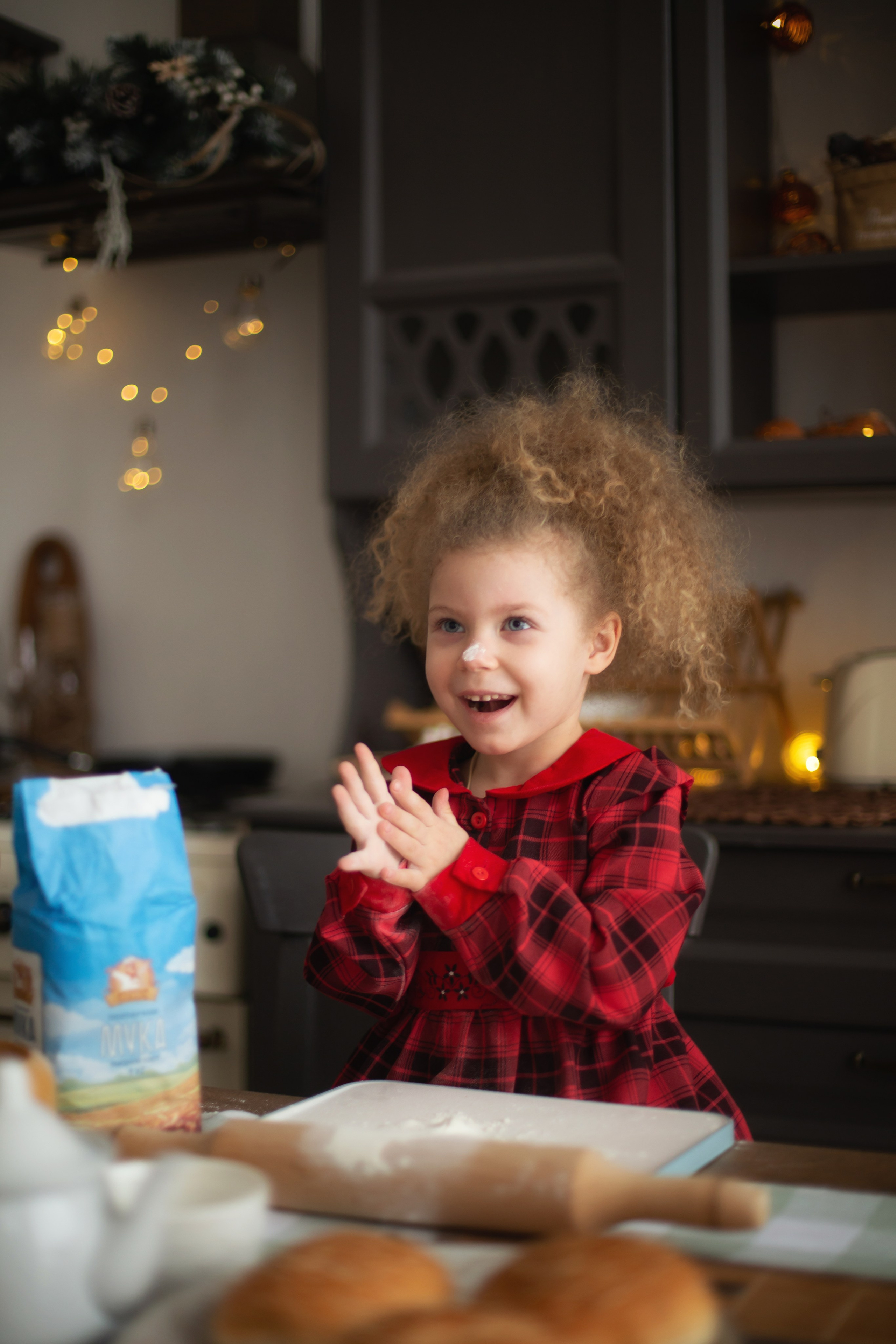 Новогодние. Фотограф Мытищи-Москва Мария Апреликова