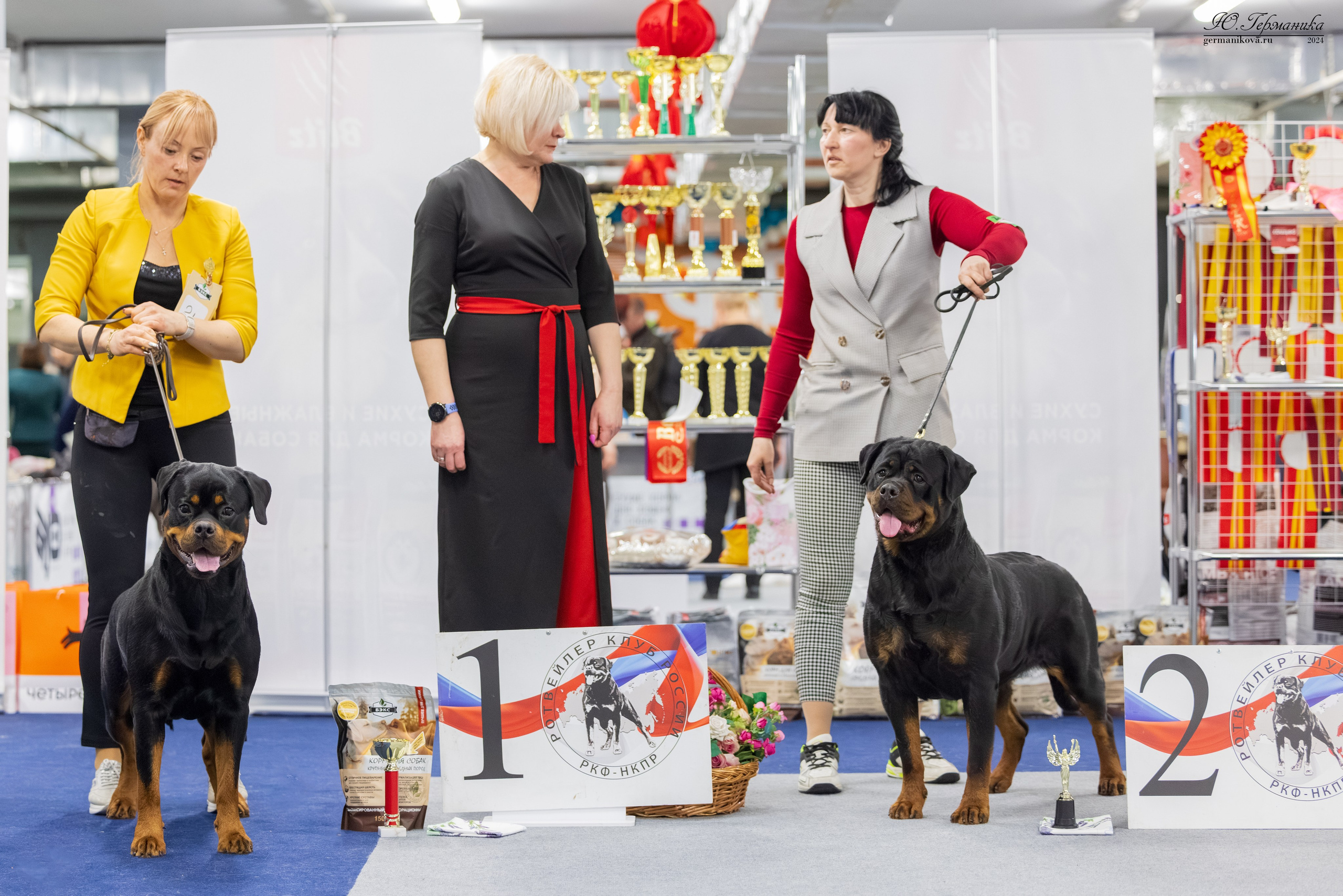 Сфера 08 и 10.03.2024 2хмоно ротвейлеров+2хмоно сао. Фотограф-анималист Юлия Германика