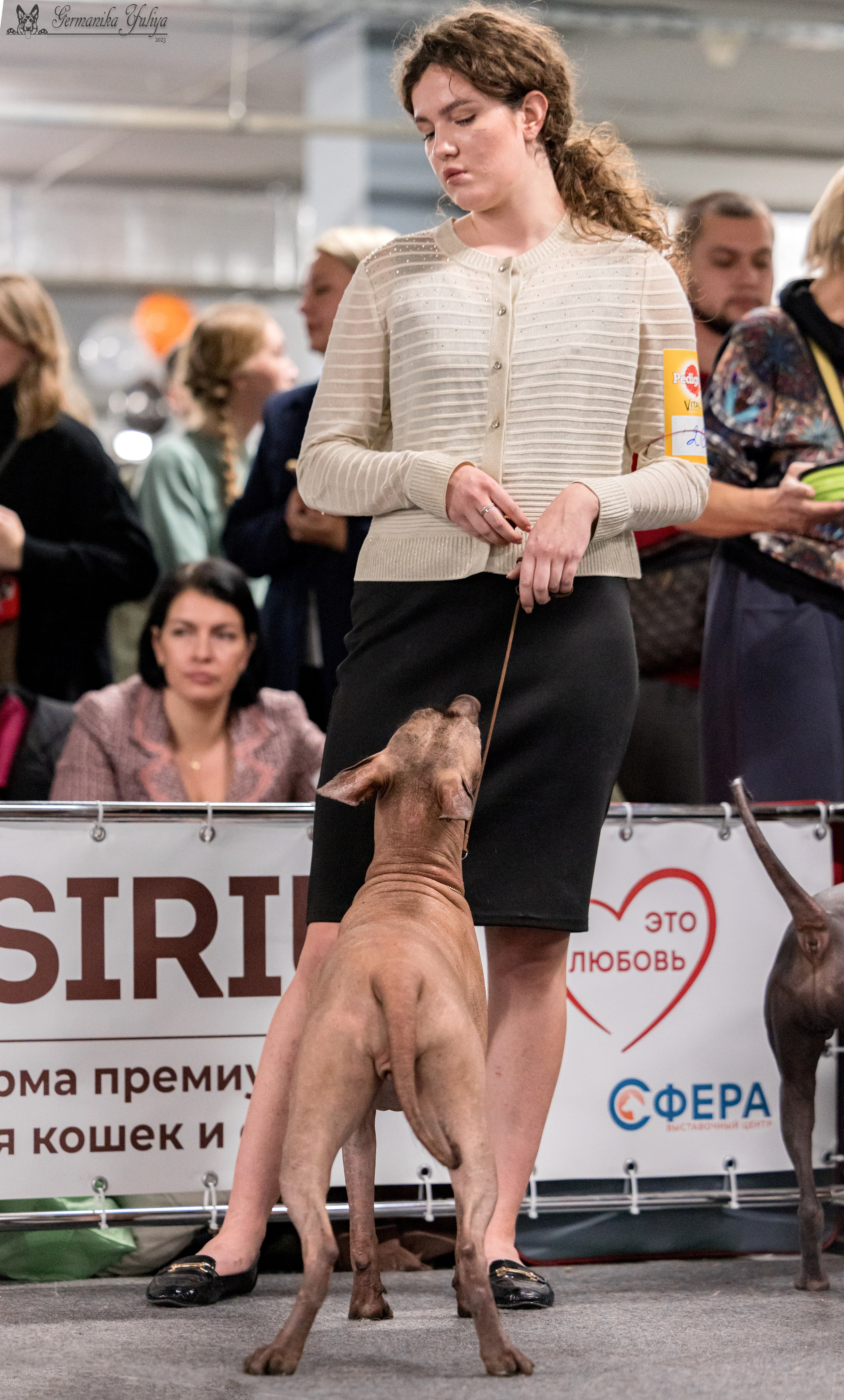 Сфера 29.10,Крокус 4.11,Сфера 12.11.2023. Фотограф-анималист Юлия Германика