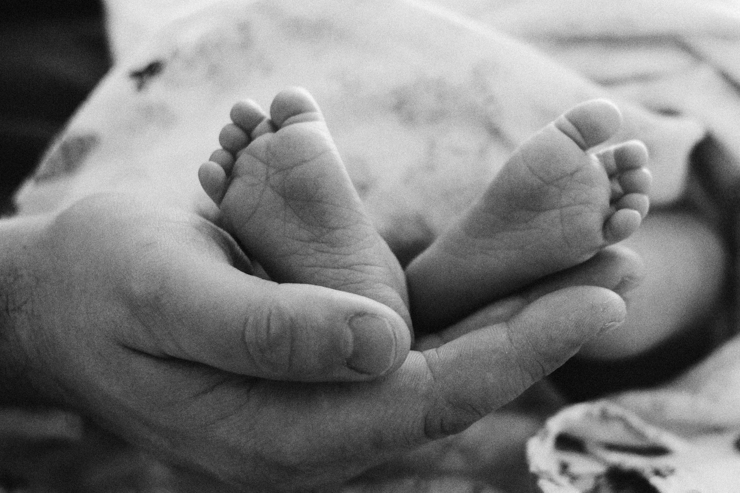 Новоророжденные. Фотограф Великий Новгород Татьяна Чиглинцева