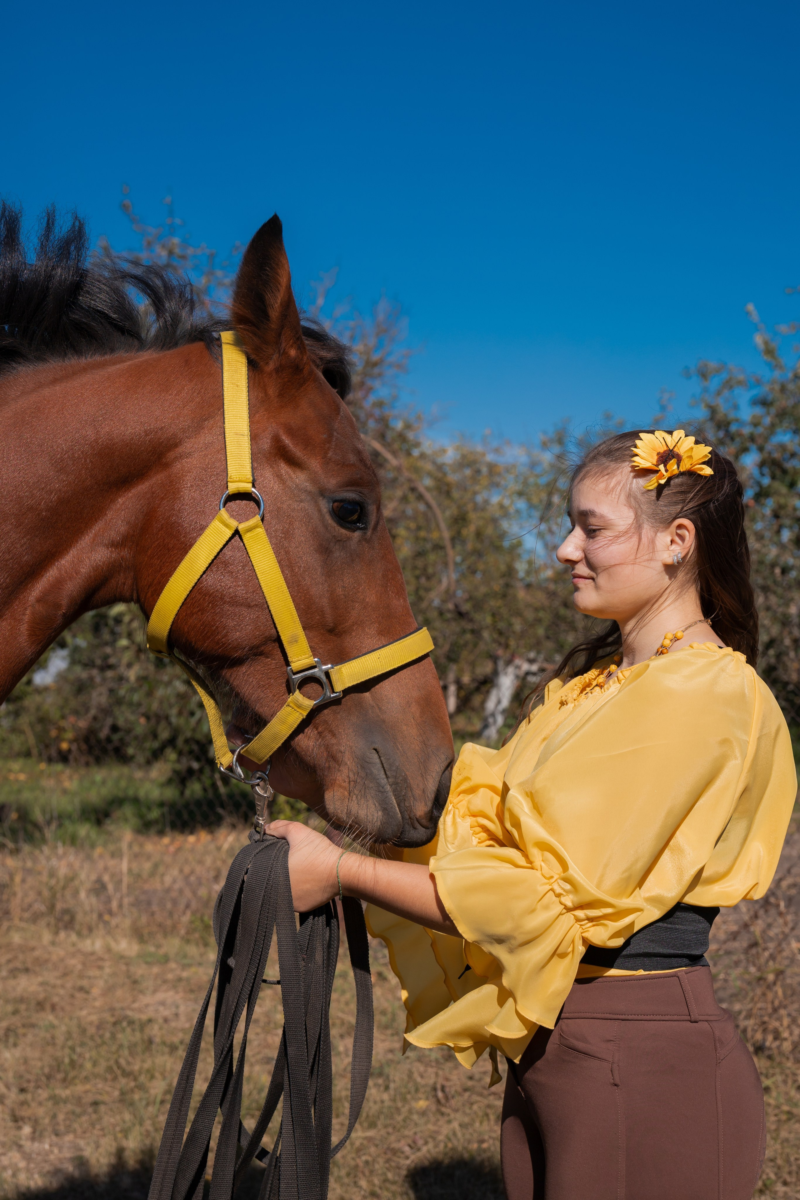 Фотосессия с лошадьми