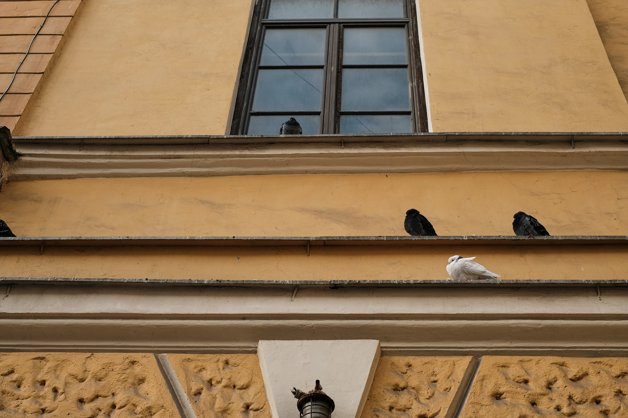 2021.10. Фотограф Алексей Алексеев