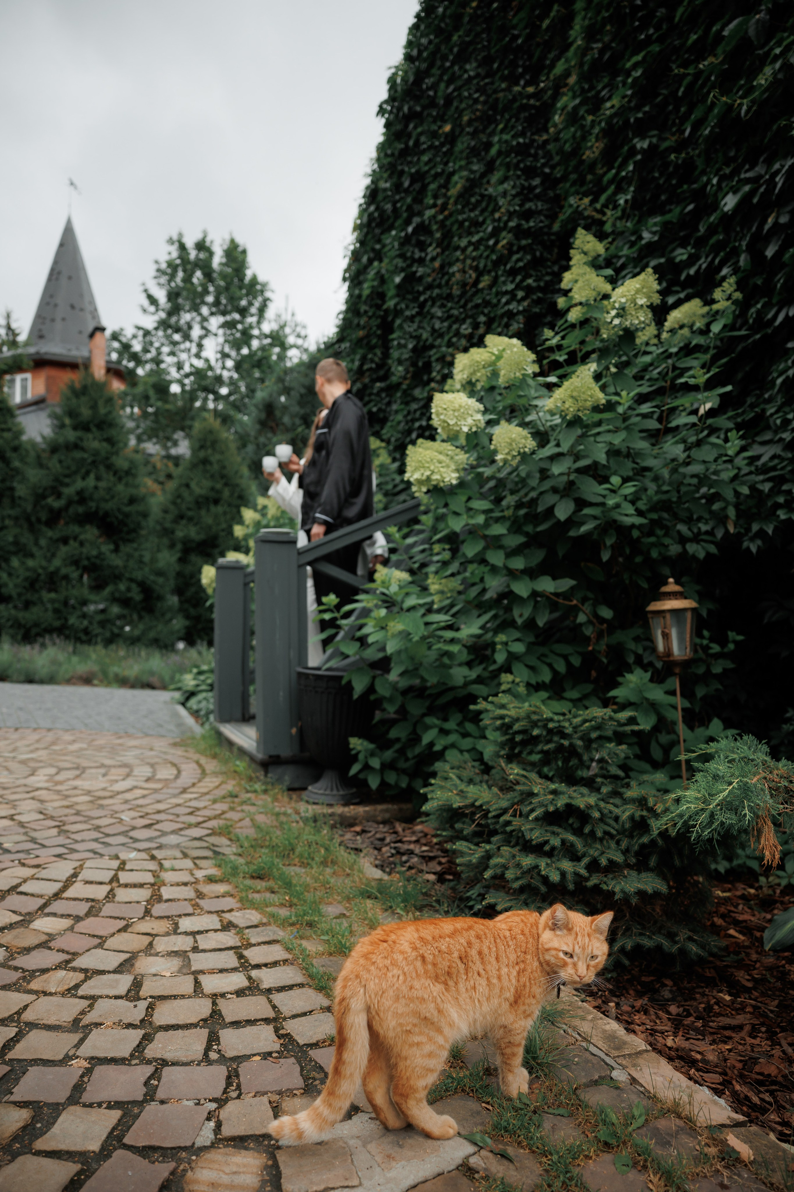 Свадебная фотосессия в отеле Сенешаль. Свадебный и репортажный фотограф (Москва, Королев и другие)