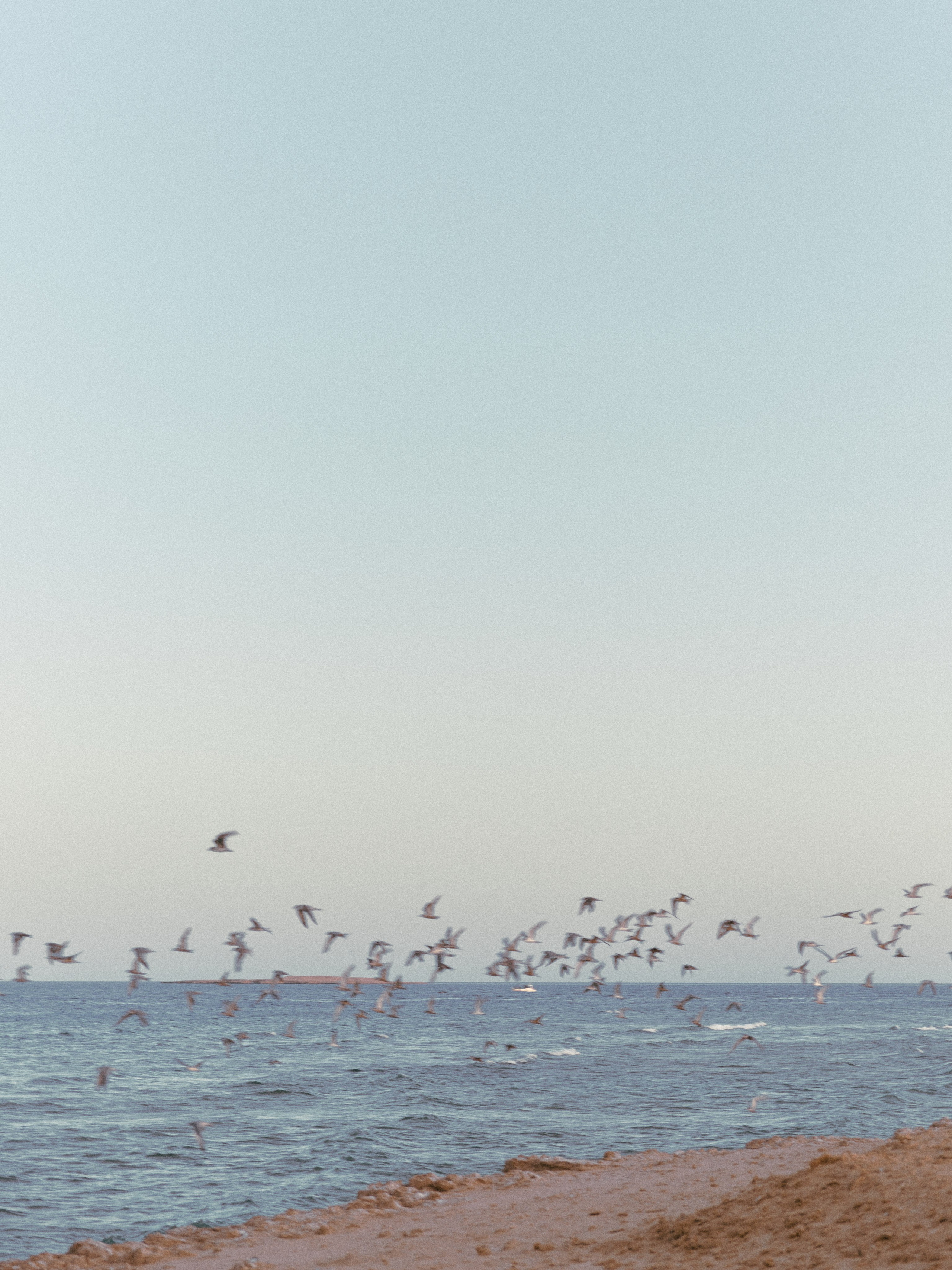 ¼. Jorgis Talè — photographer, kind person, teacher of arts and other mag