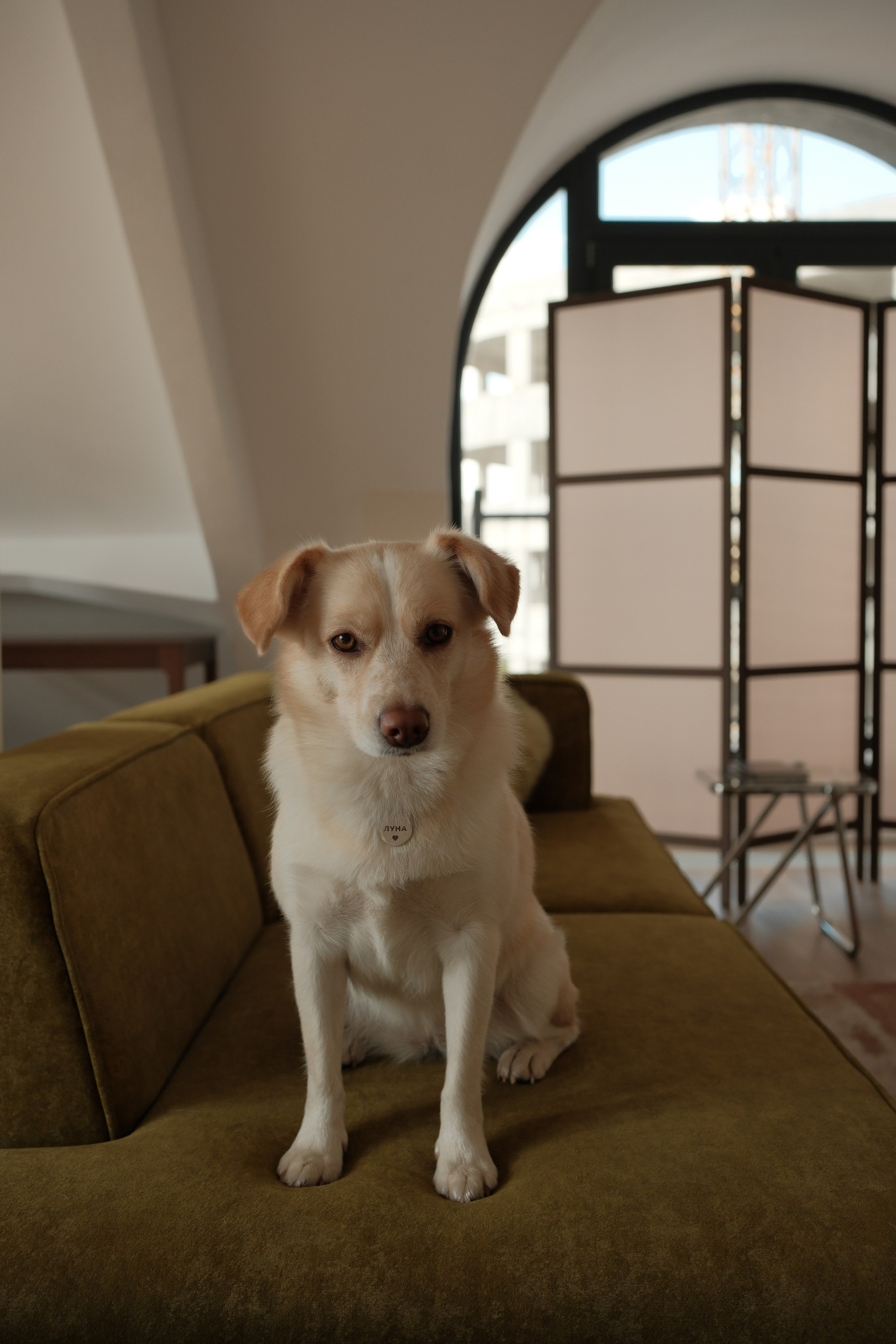 Интерьер Мансарда. Фотостудия Jam