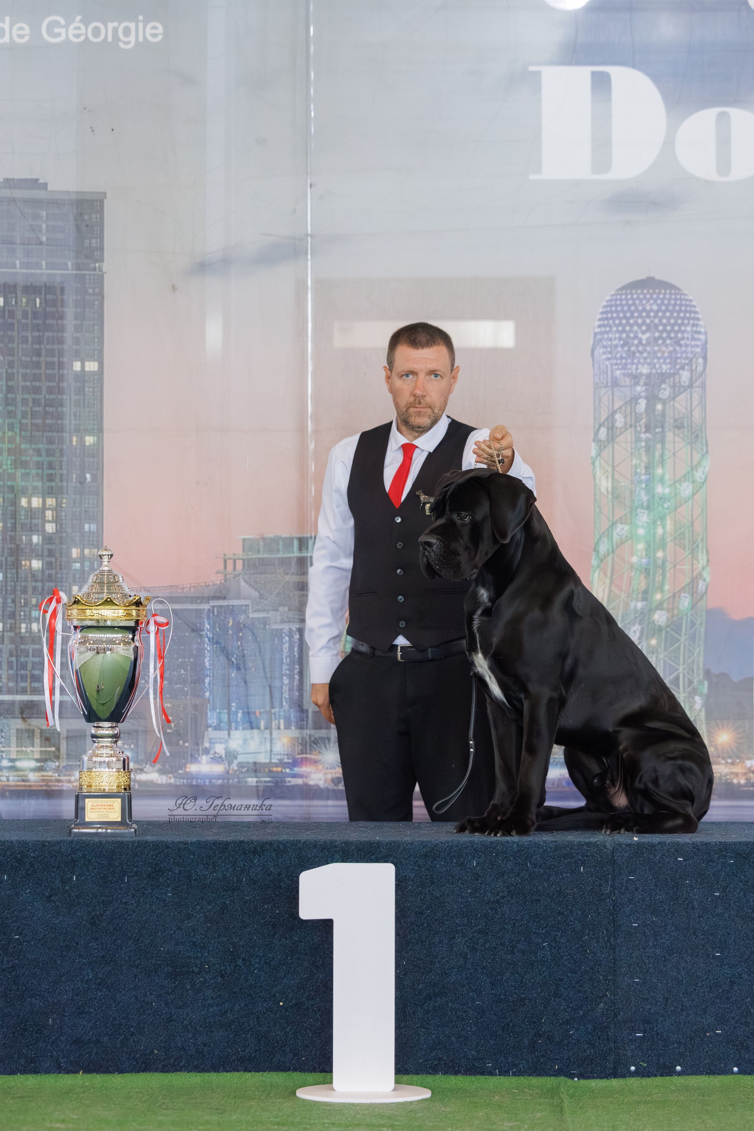 Батуми 3хCACIB 27-29.06.2025. Фотограф-анималист Юлия Германика