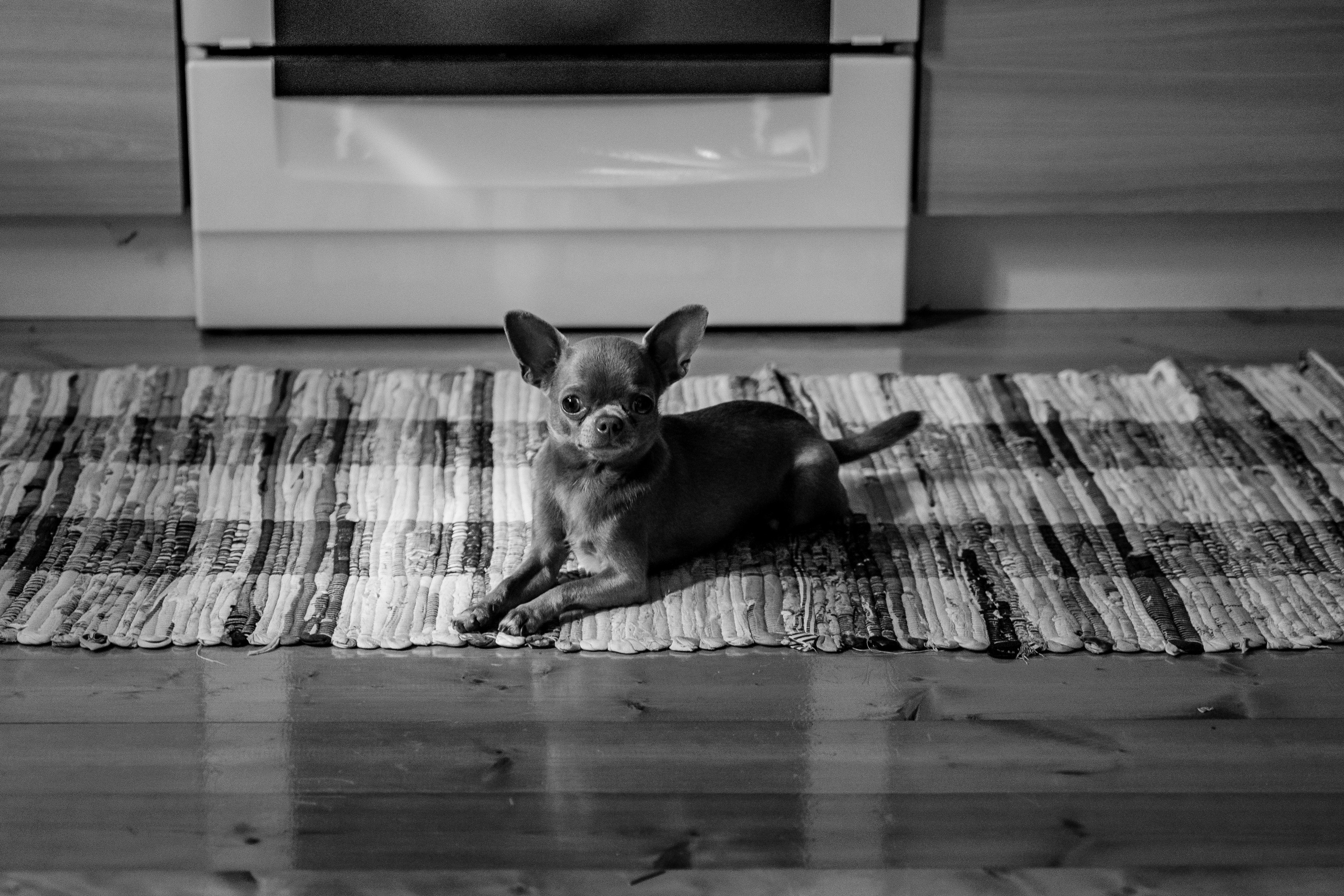 Ева 1 год. Станислав Тюрин Фотограф Москва. Индивидуальные и семейные фотосессии;