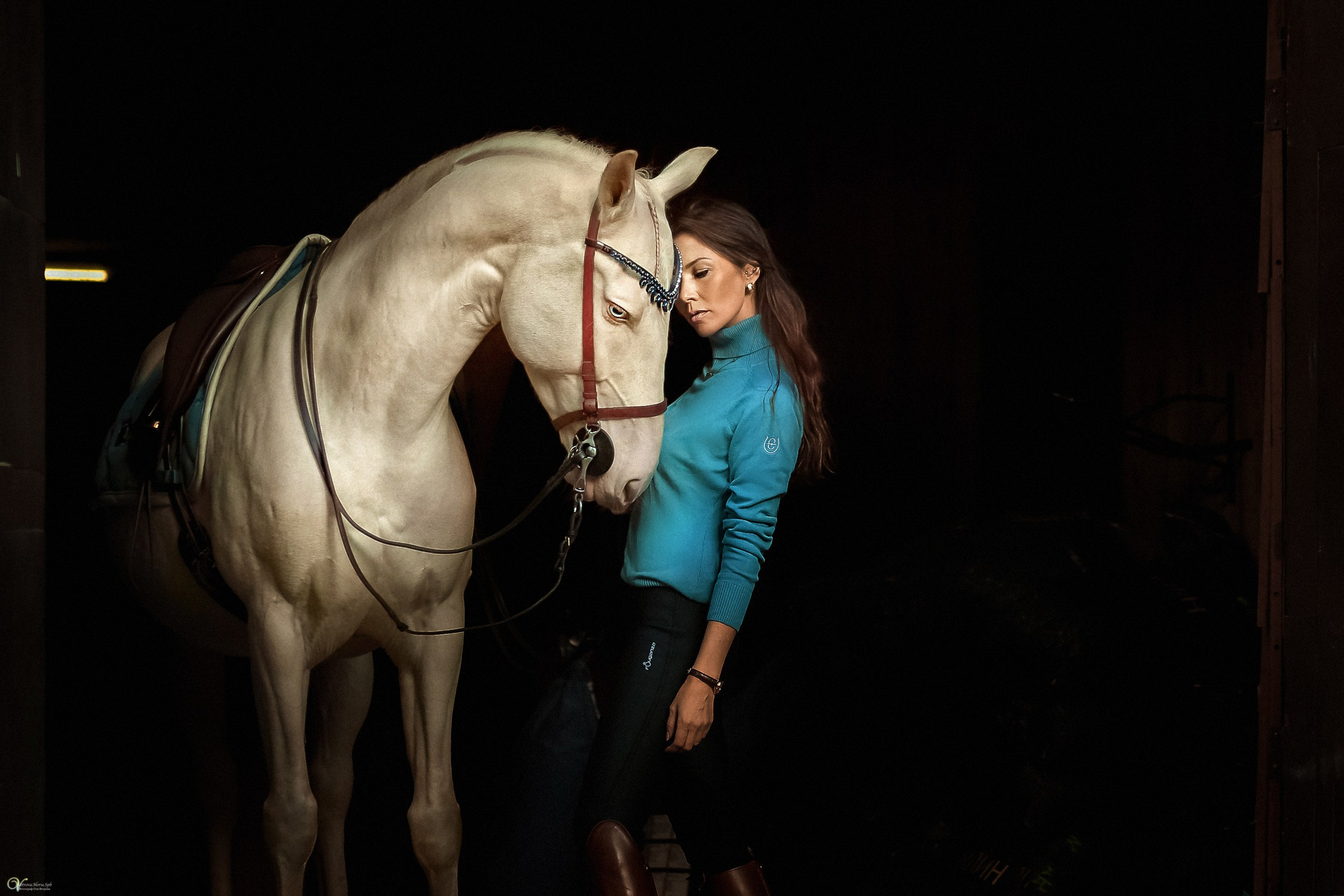 Фотосессии с лошадьми осенью. Фотограф женский и мужской портрет Санкт-Петербург