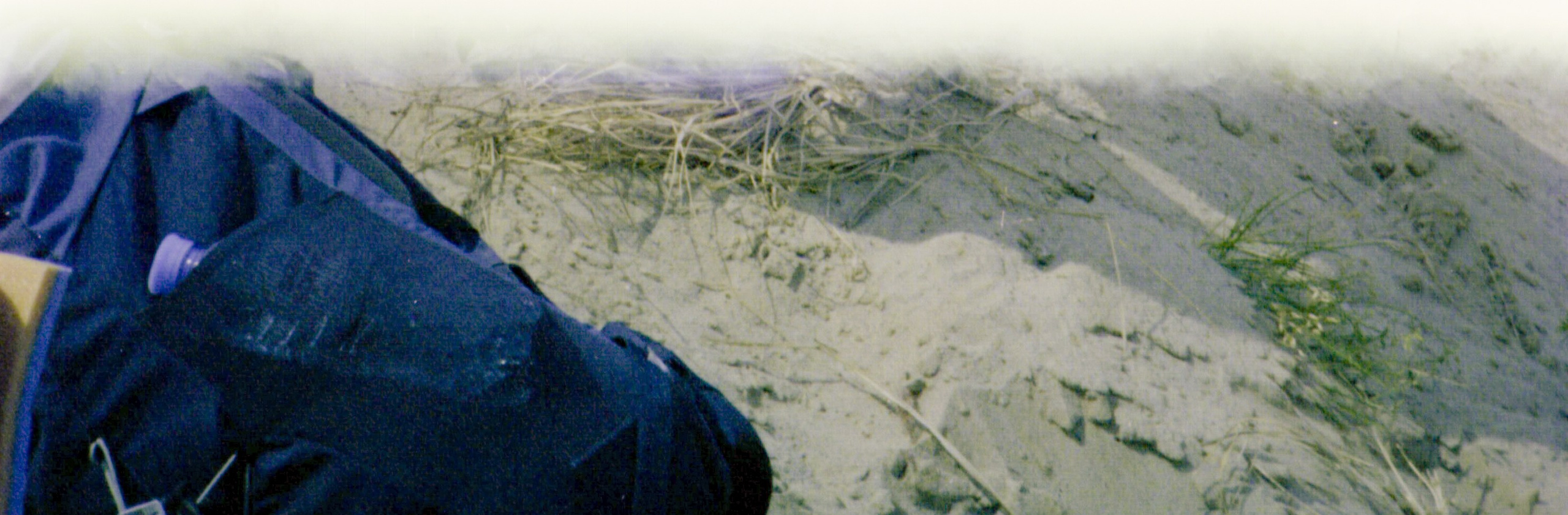 Diary. Maria Abdullaeva