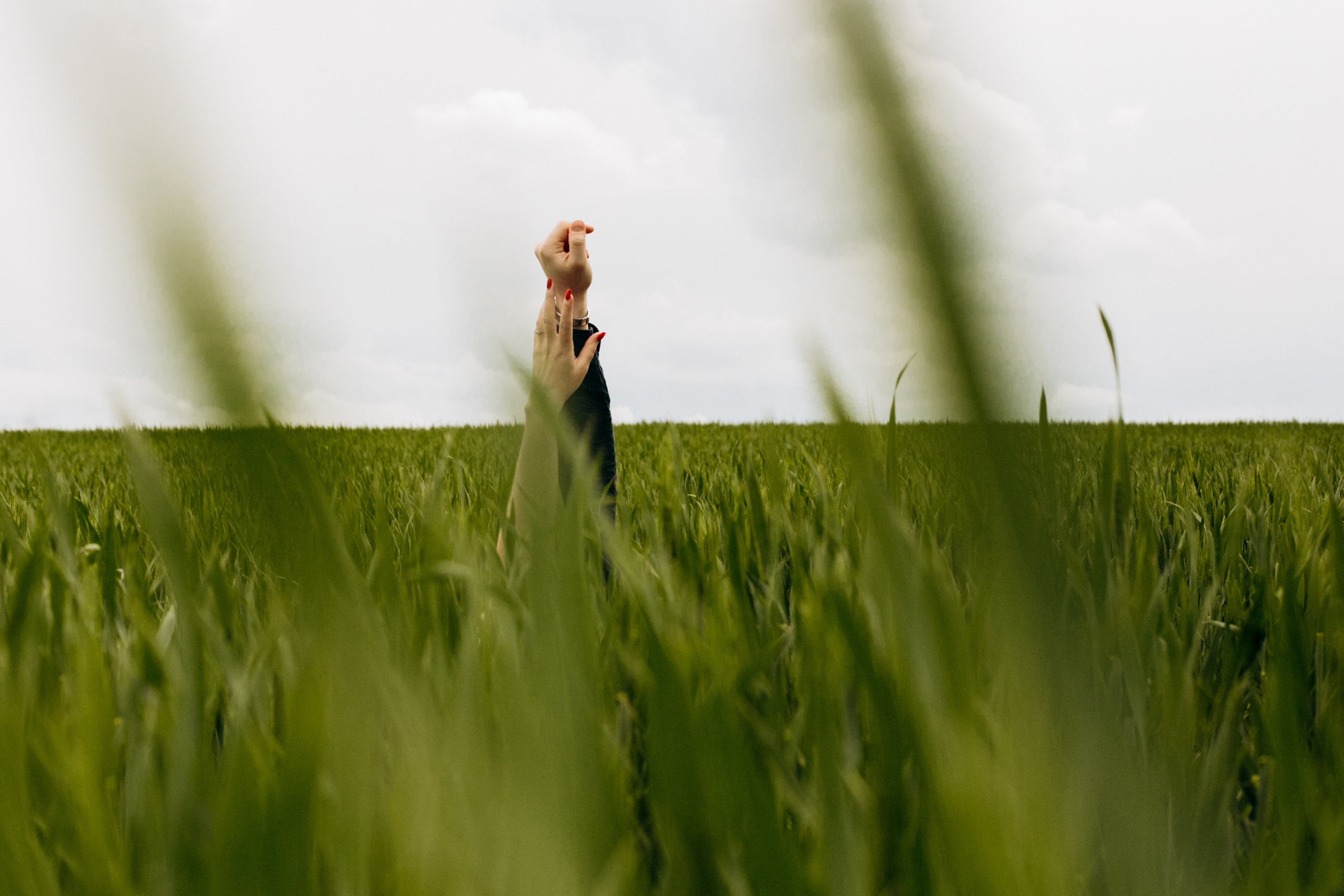 Лавстори: Лиза, Влад и Тайсон. Фотограф Белгород