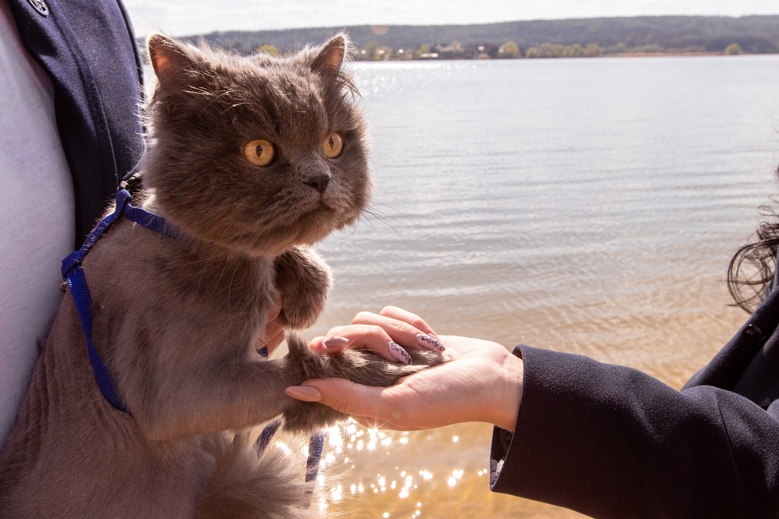 Love Story в Белгороде. Фотограф Белгород