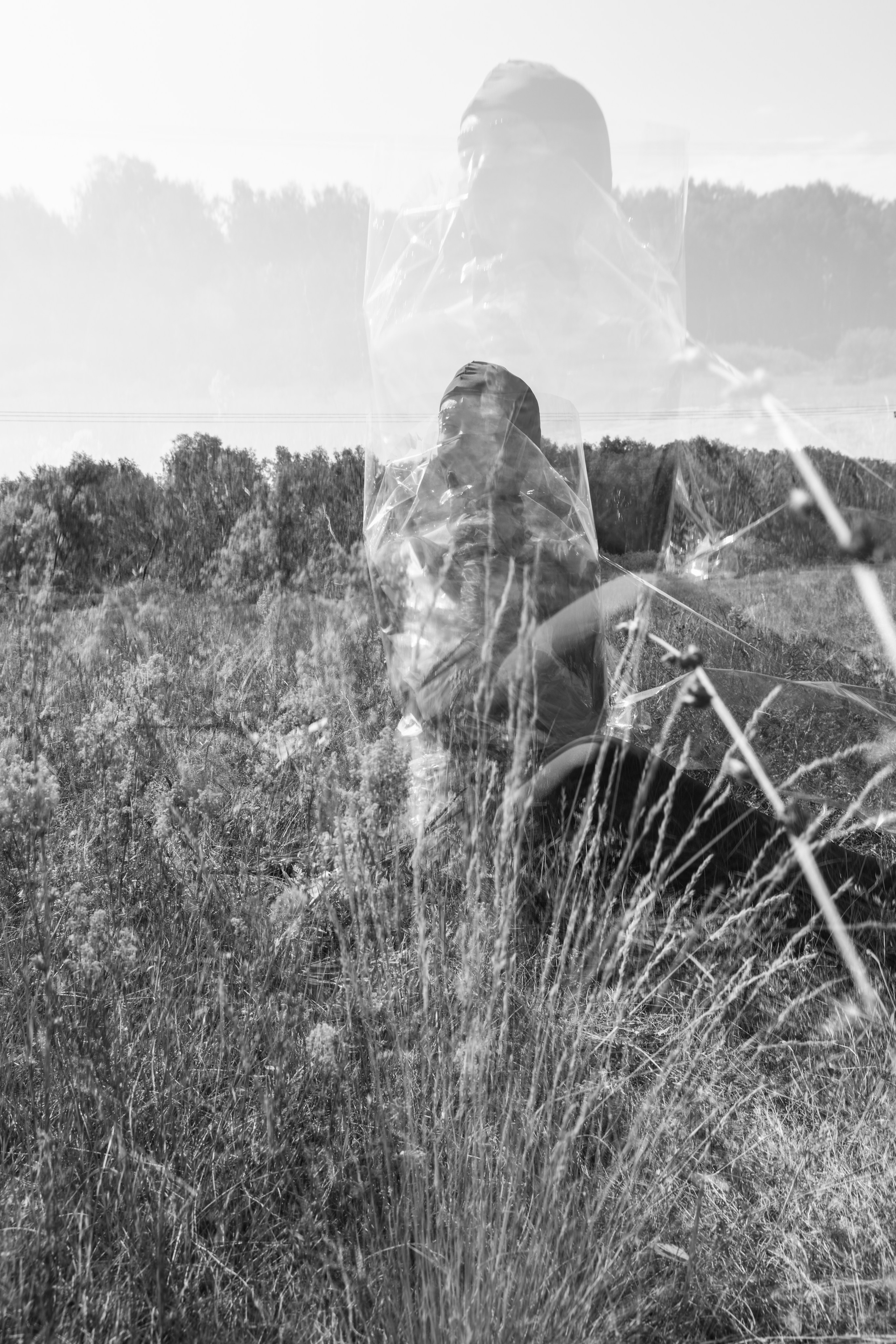 TERRA NOSTRA. Yulia Yurchevskaya | Art Director & Visual Visionary