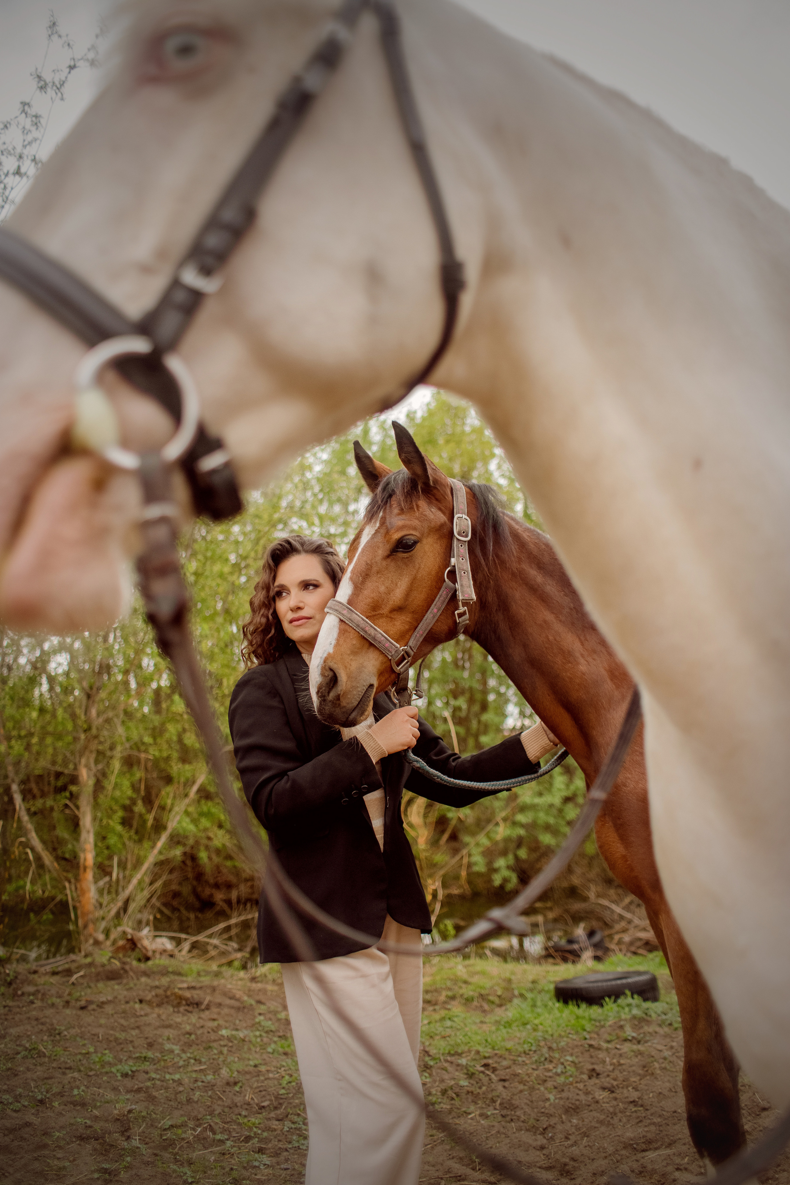 Фотосессия с двумя лошадьми