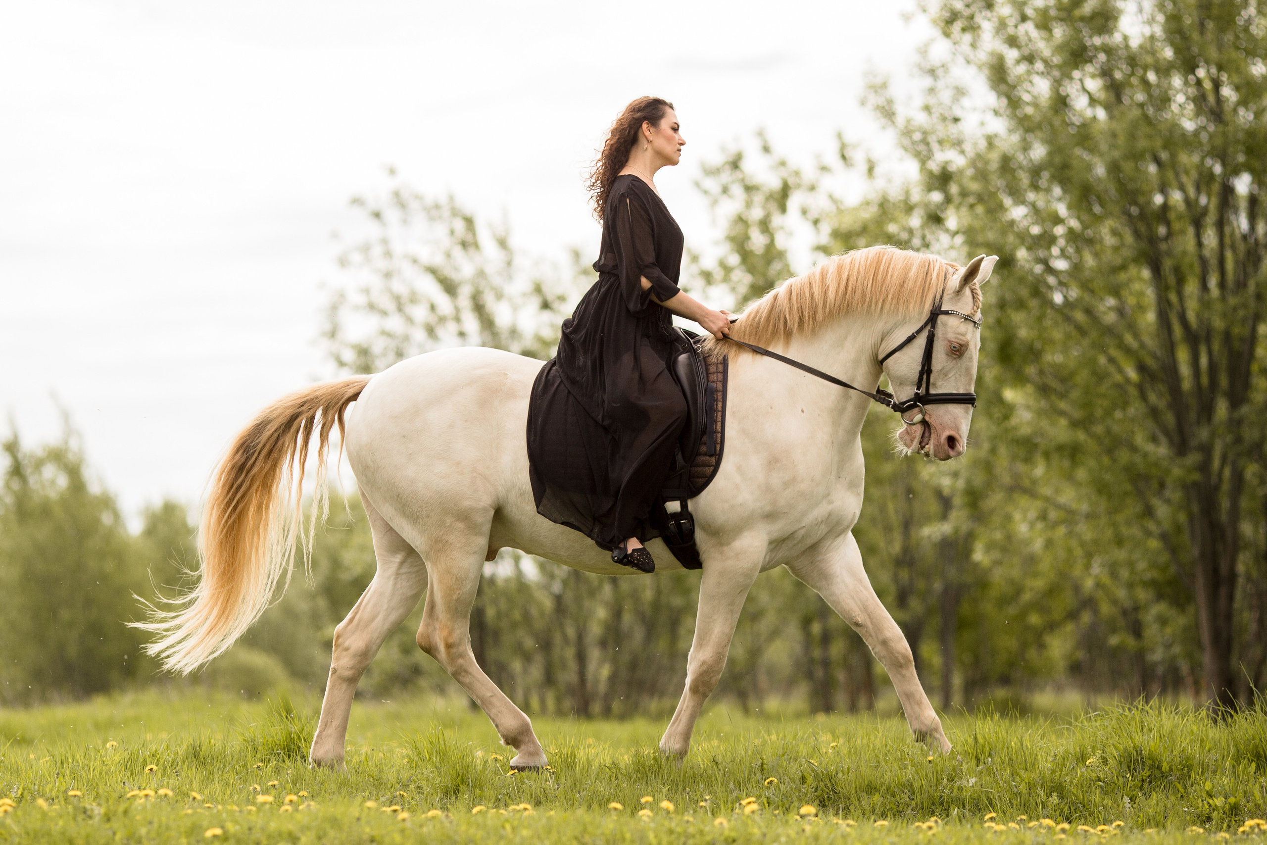 Фотосессия с двумя лошадьми