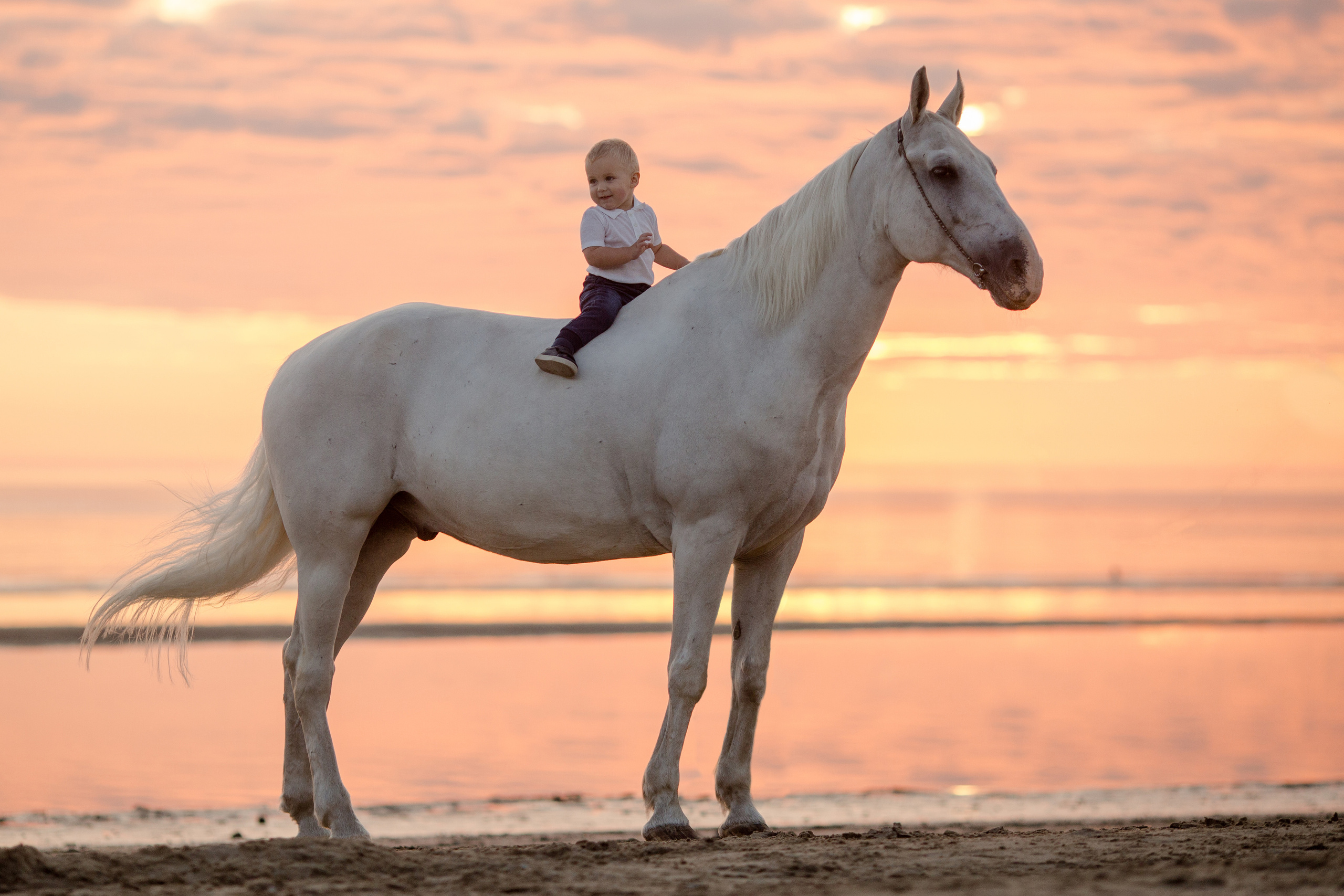 Фото девушки и лошади на море