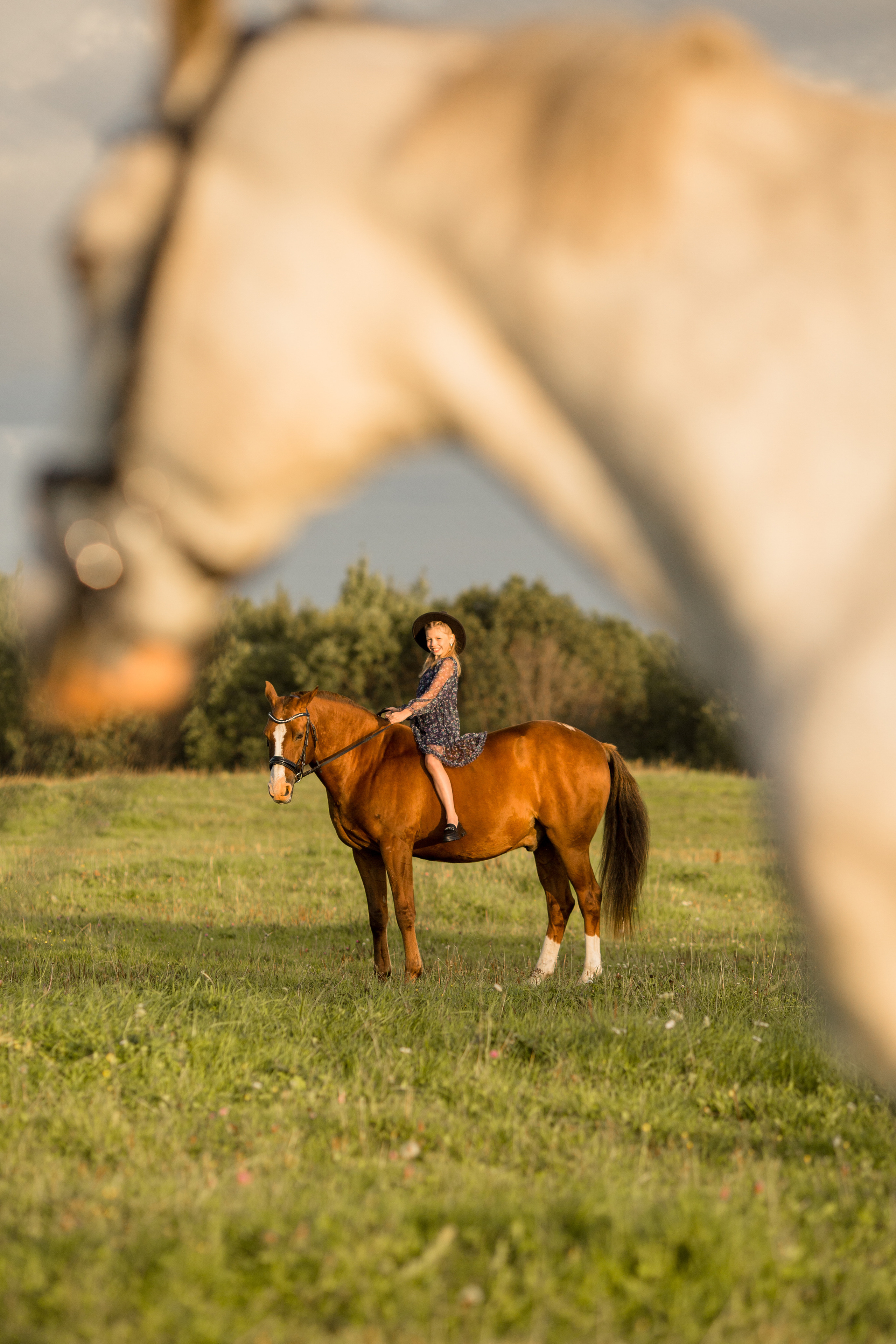 Детская фотосессия с лошадьми