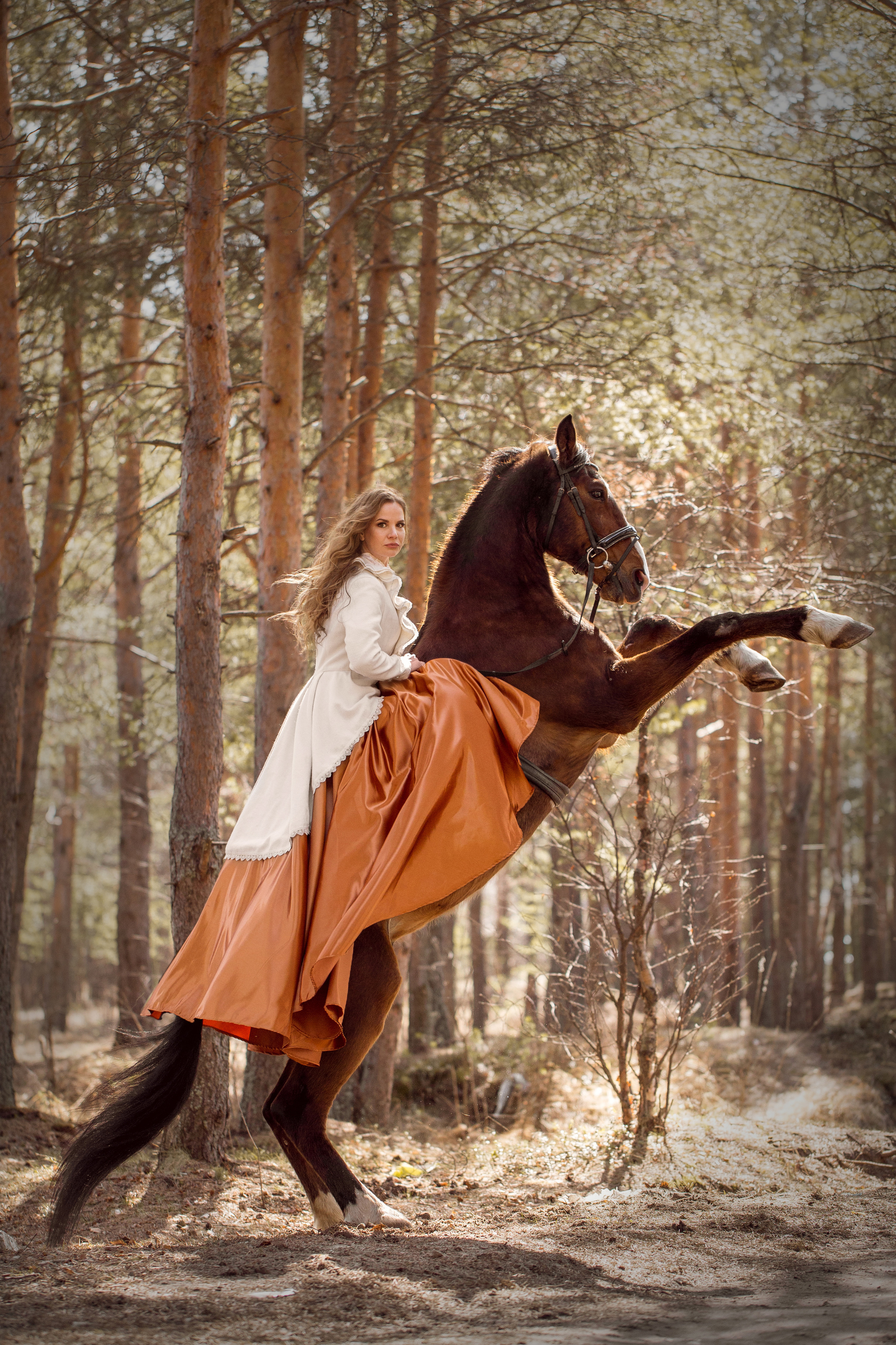 Фотосессия в сосновом бору с лошадью