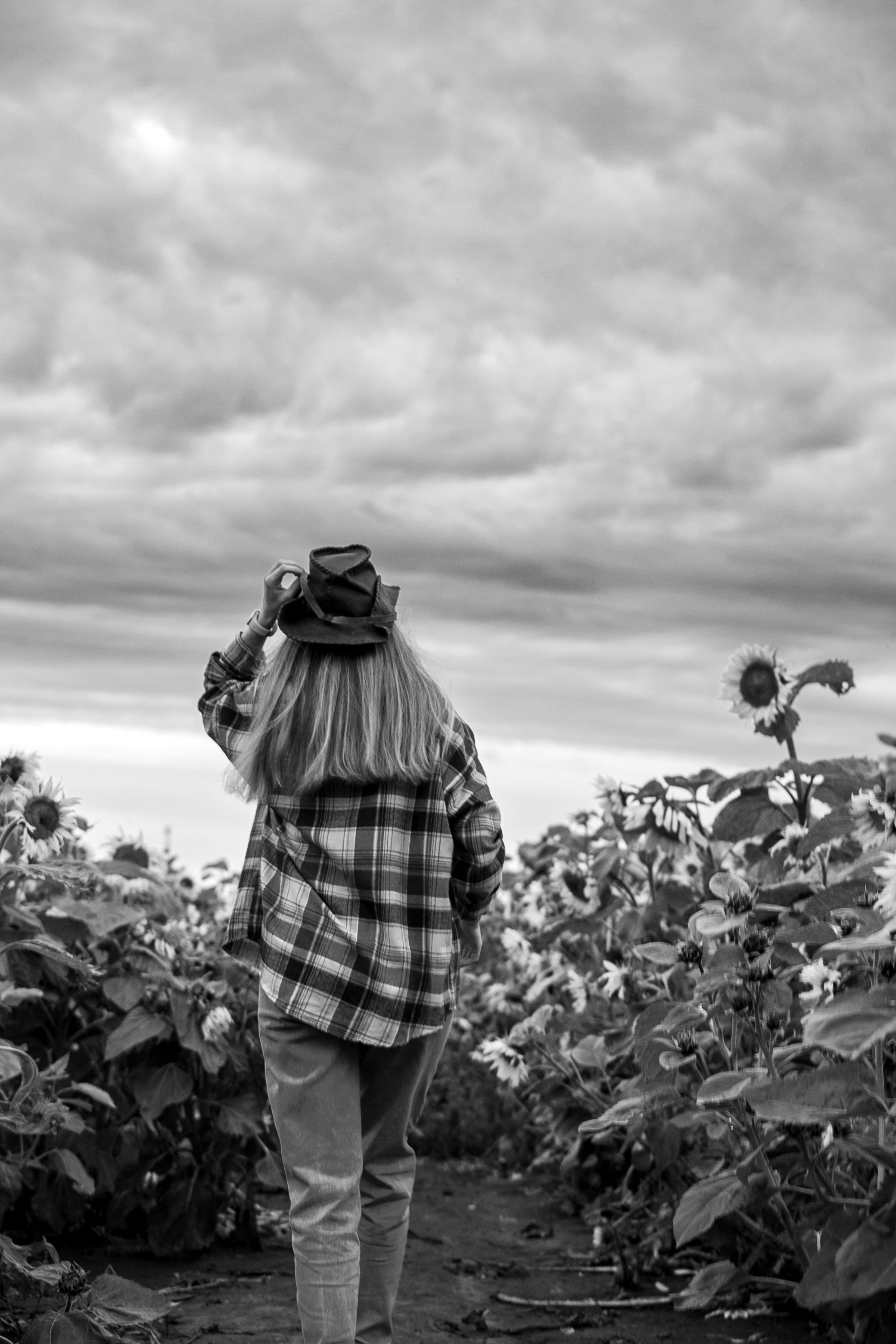 Фотосет в подсолнухах. Нина. Фотограф Лапочкина Татьяна