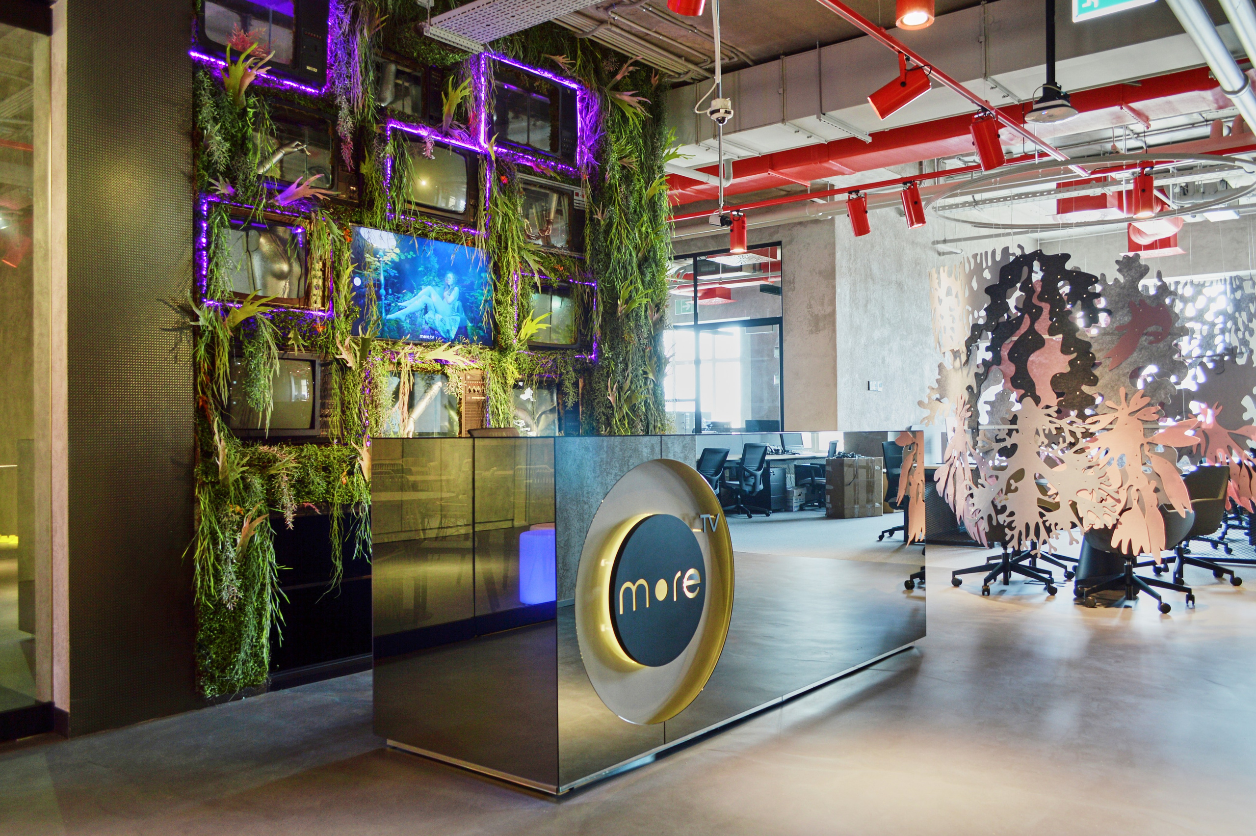 Озеленение ГК Techo. Фото и видео съемка в Сочи Адлере Красной поляне