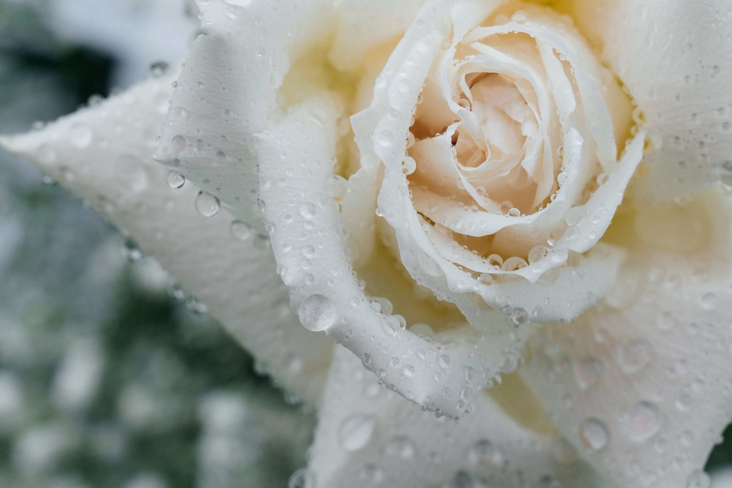 Свадьба Артем и Мария. Свадебный фотограф в Москве и по всему Миру Андрей Медведников