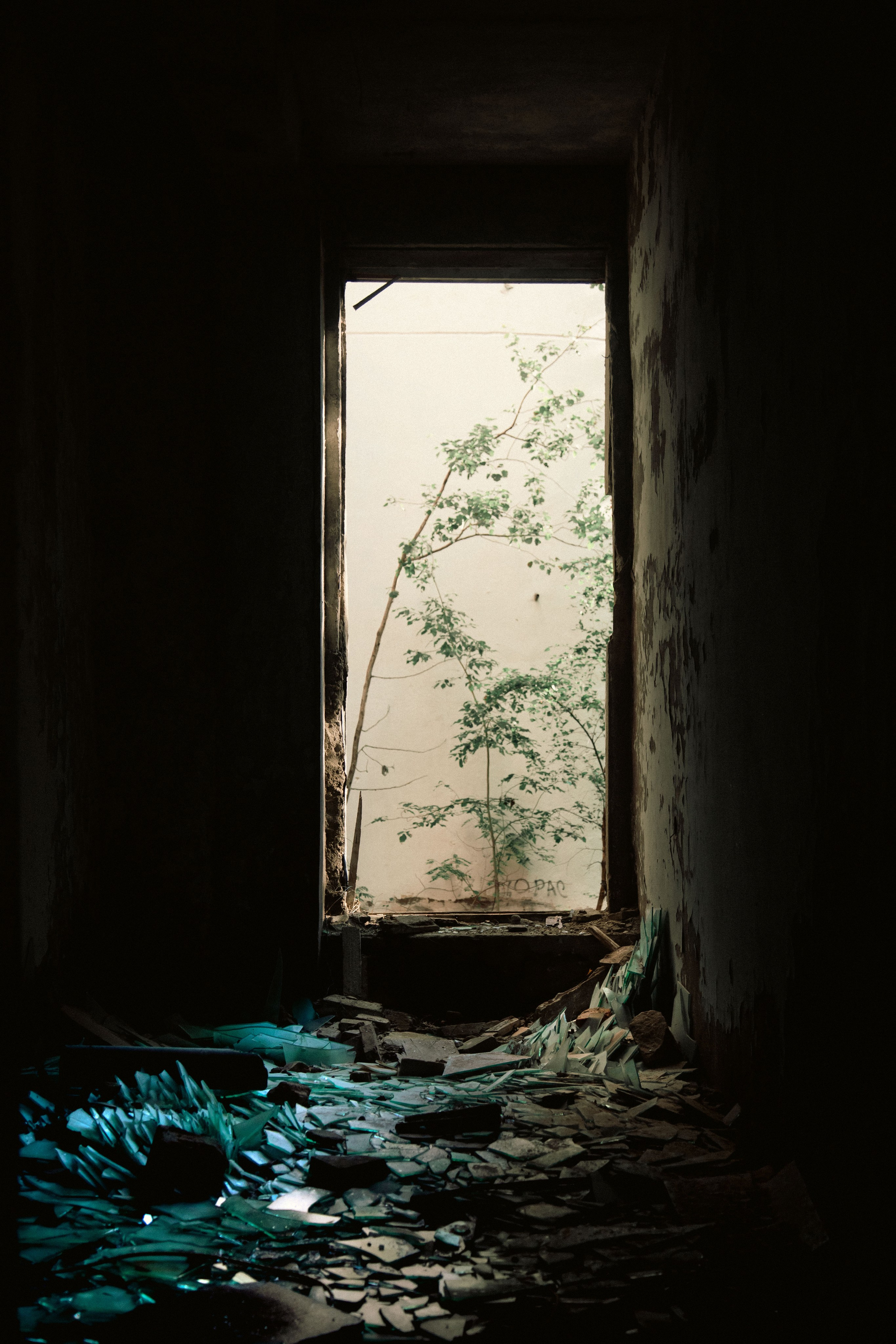 Паулино. Dmitriy [KCCC] is a pretty cool photographer