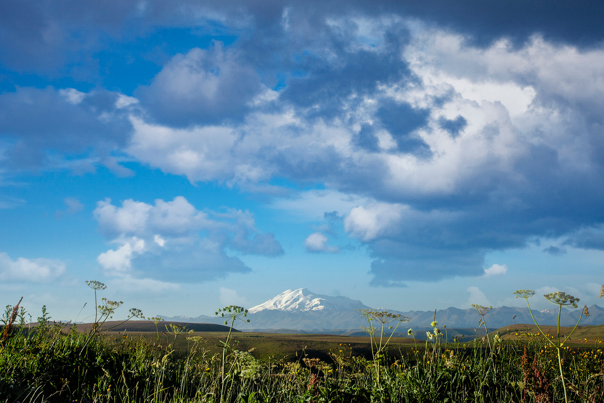 обучение ретуши заочно
