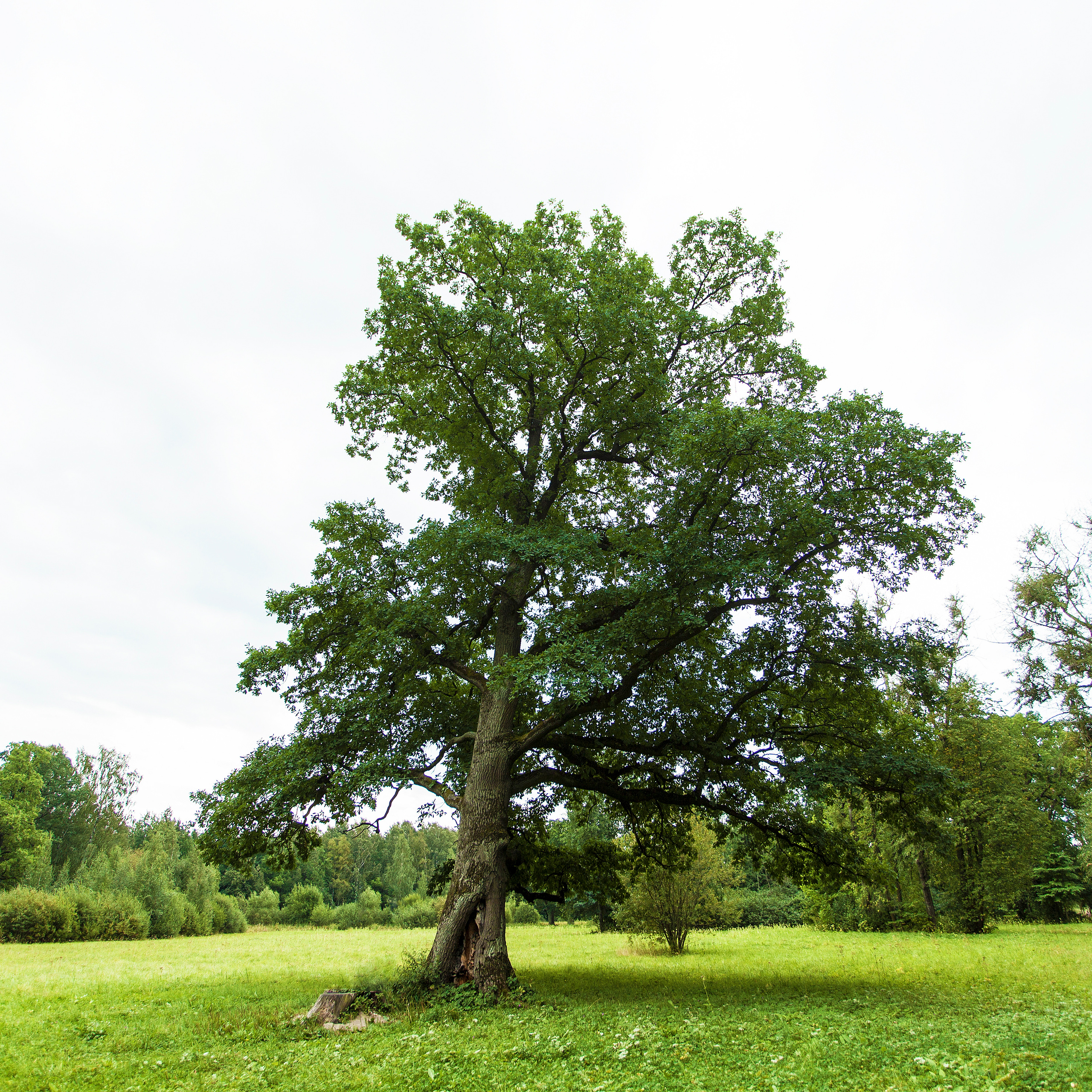ретушь онлайн курсы