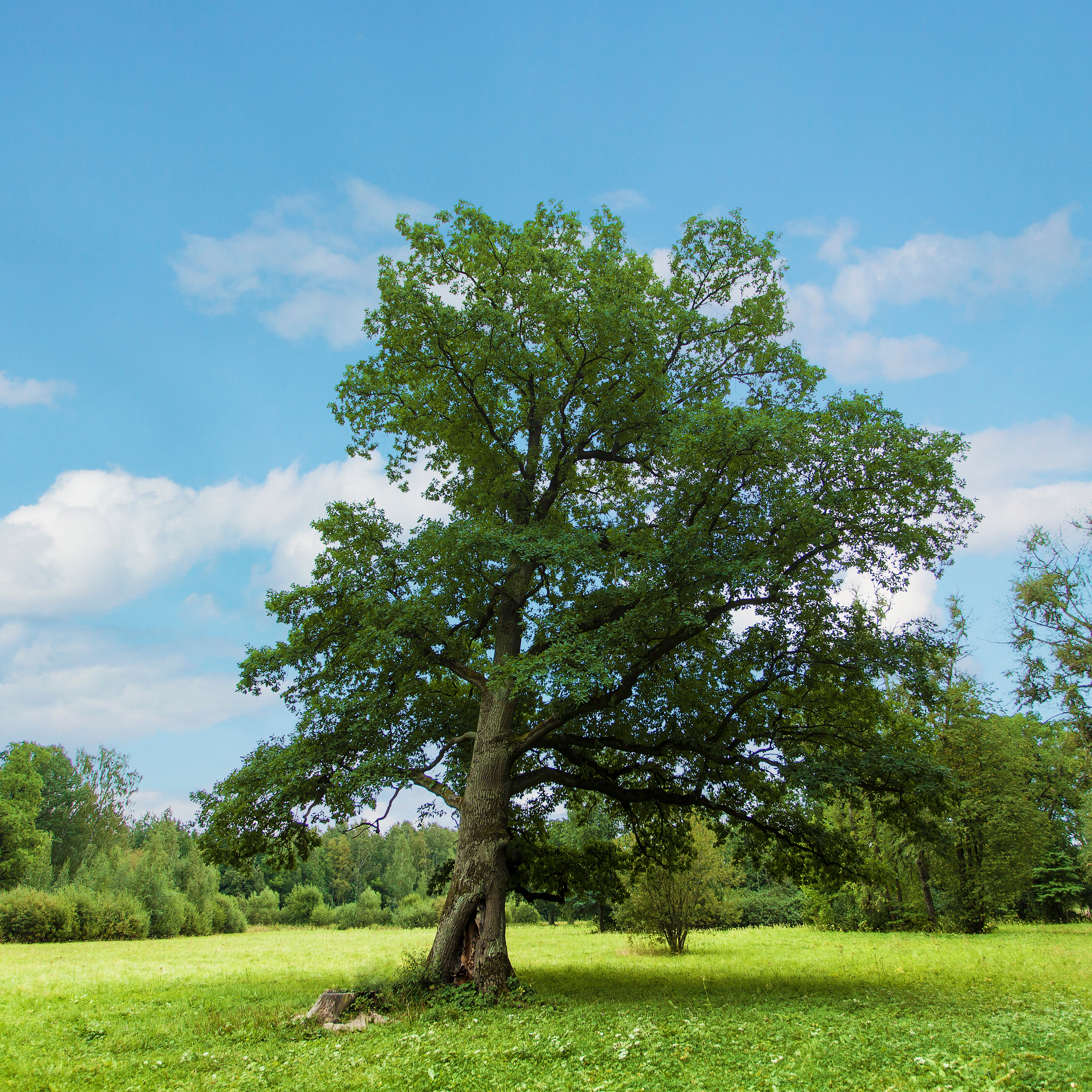 курсы ретуши спб