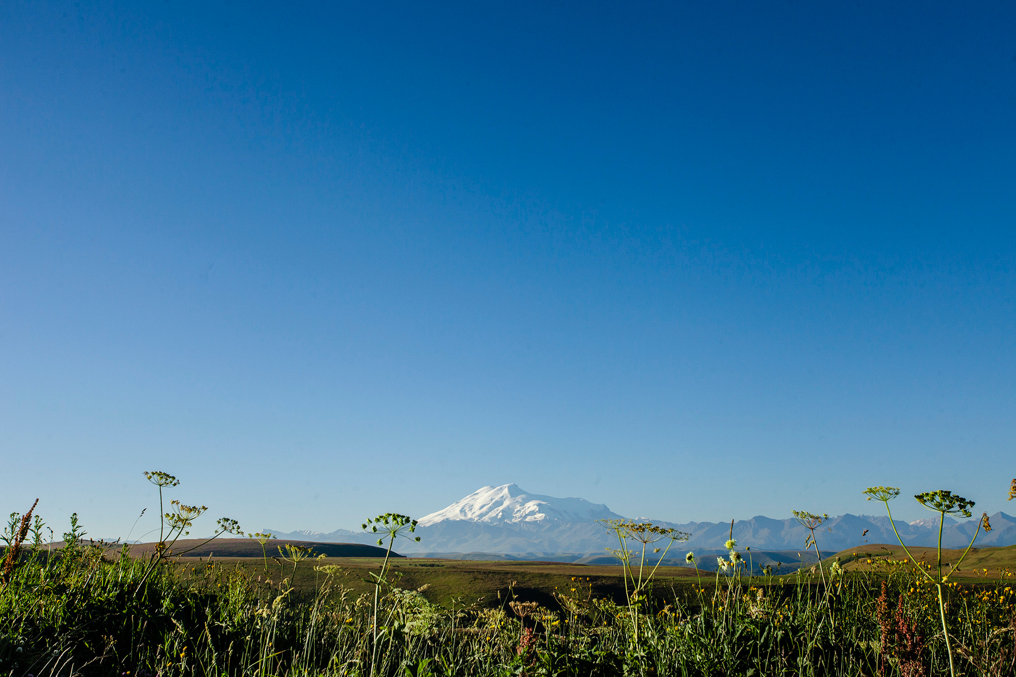 ретушь обучение дистанционно