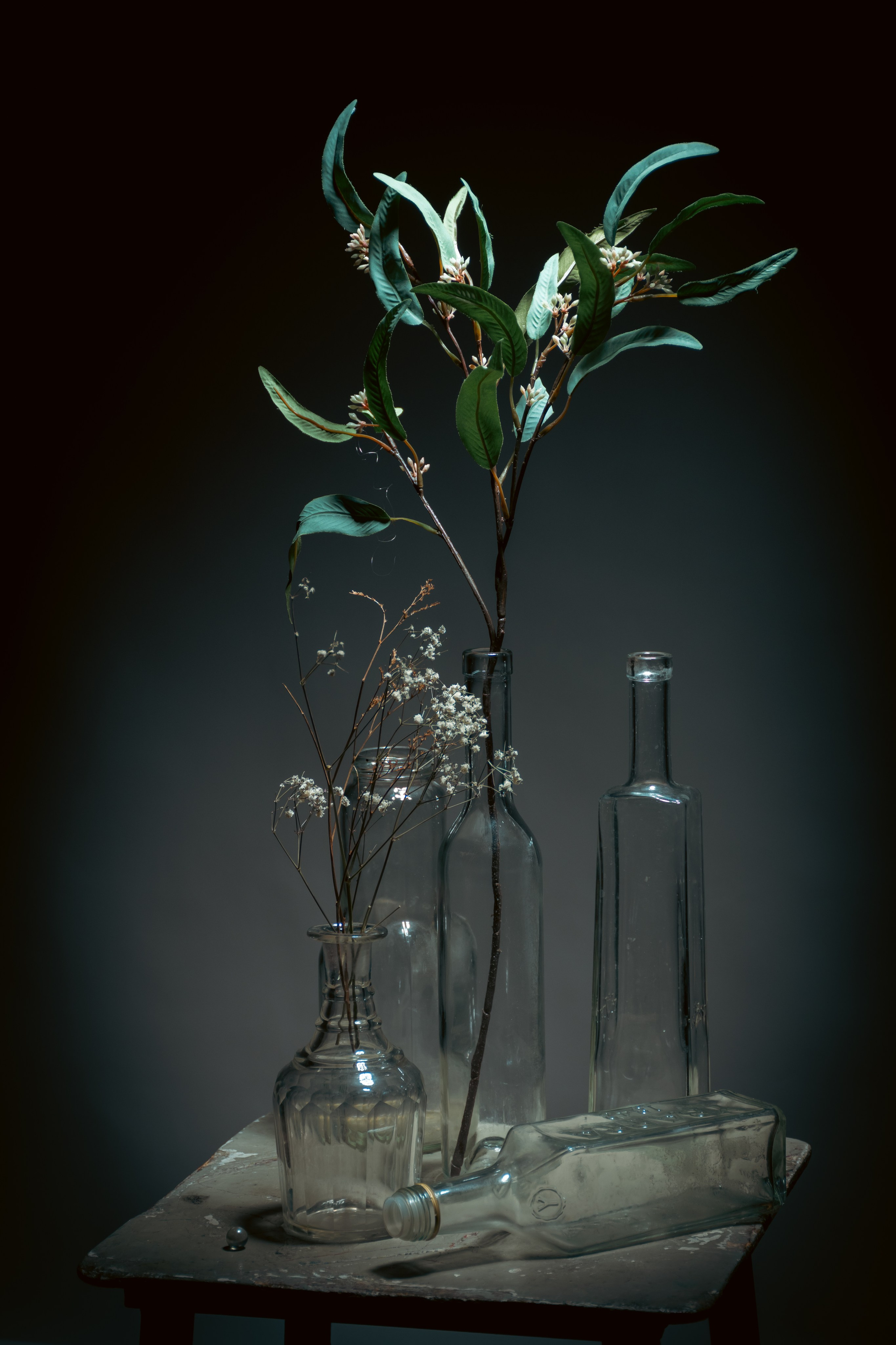 Натюрморты. Фотограф и оператор в Москве Елизавета Коргалидзе