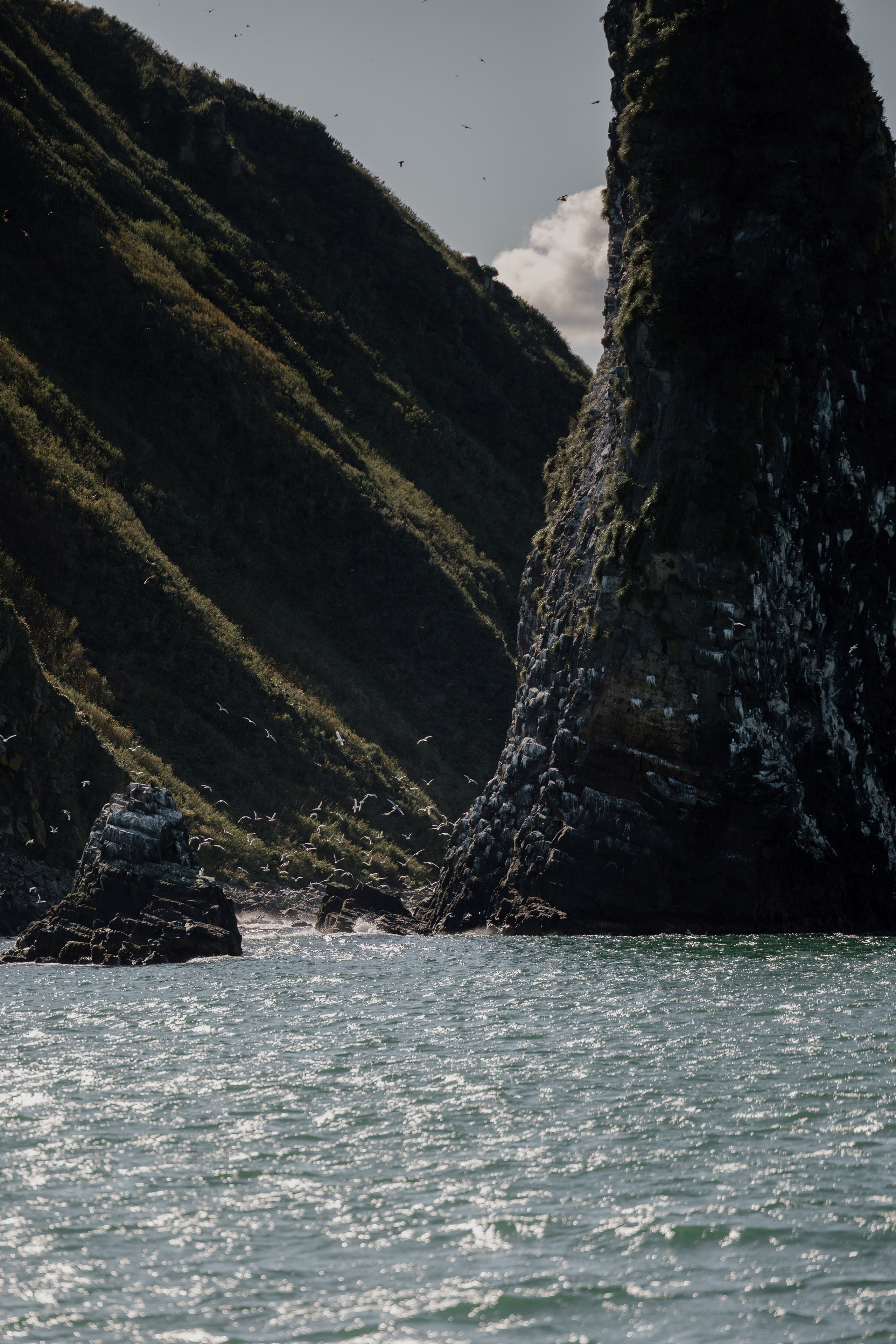 Дмитрий и Александра. Свадебный фотограф в Петропавловске-Камчатском Артур Зябов