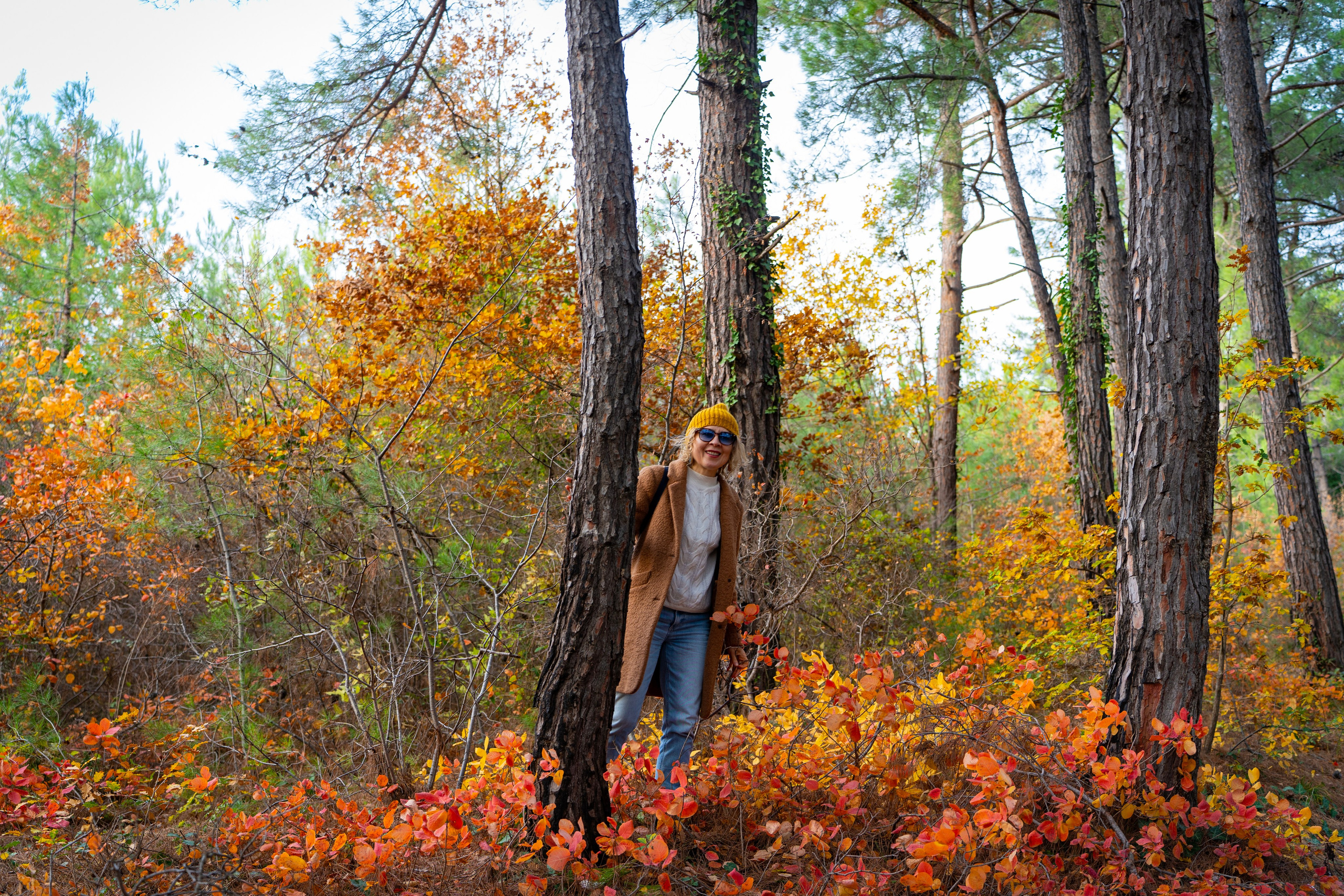 Фотопрогулка в Голубой бездне — золотая осень. Семейный и детский фотограф Екатерина Черняева. Снимаю портреты, love story, фотопрогулки, работаю на улице, в кафе, студии, дома у клиента