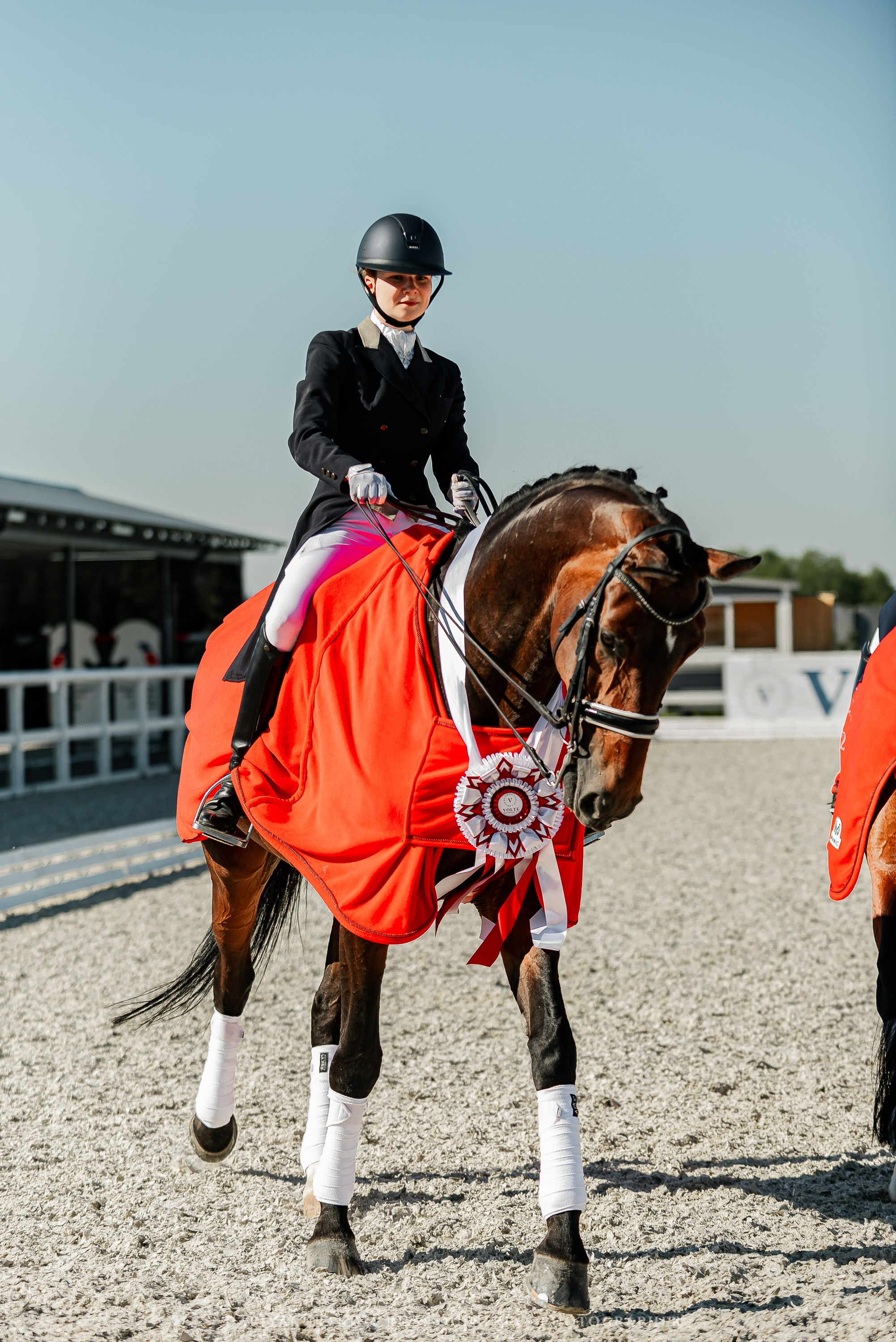 РЕПОРТАЖ МКК ВОЛЬТ «LA TULIPS». Конный фотограф Куракина Дарья • Фотосессии с лошадьми