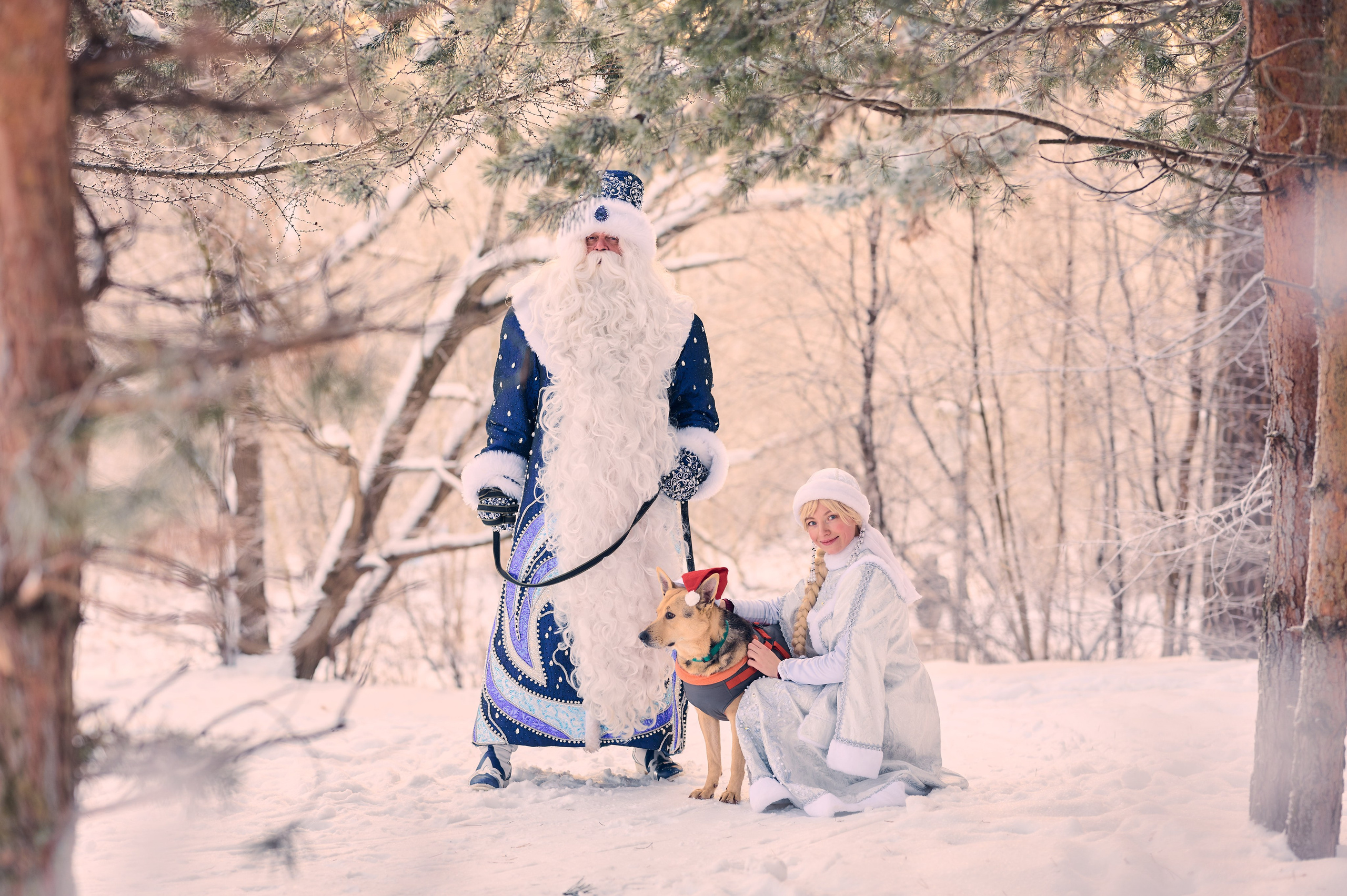 Промо приюта для собак. Никита Хохловский фото и видео продакшн