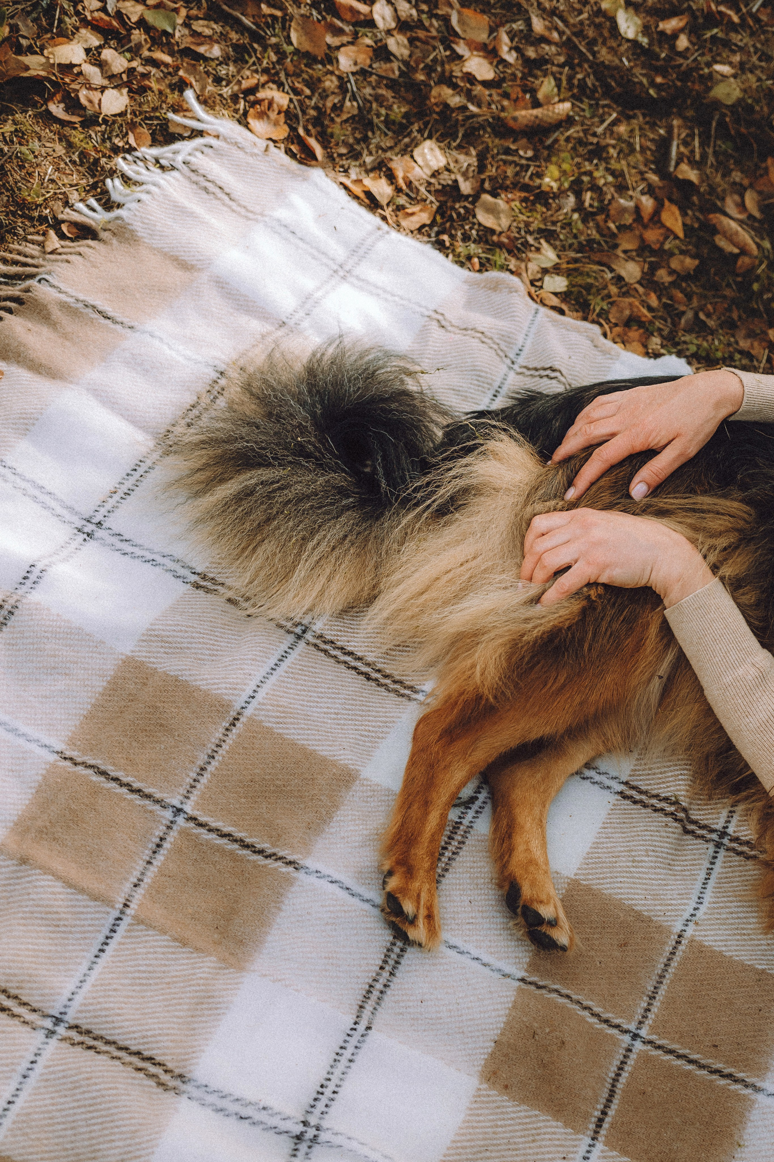 Хлоя, Герда и их семья