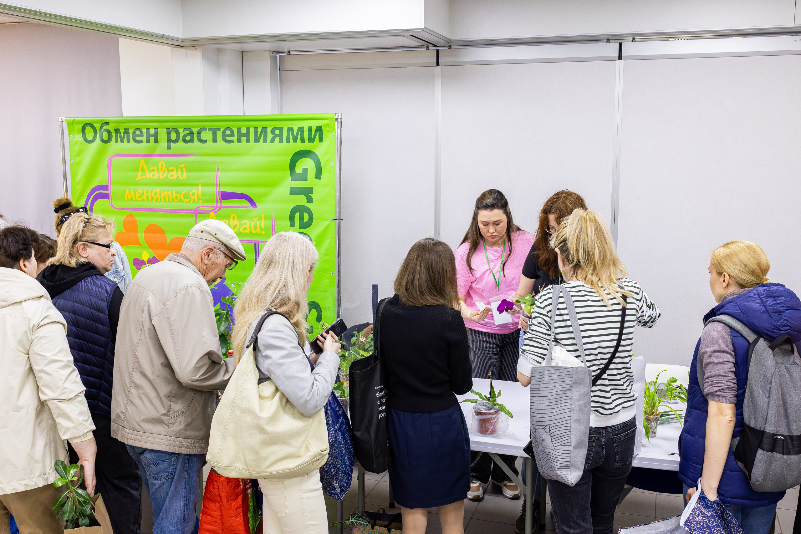 Орхидиум май 2025. Александра Куликова фотограф, Москва