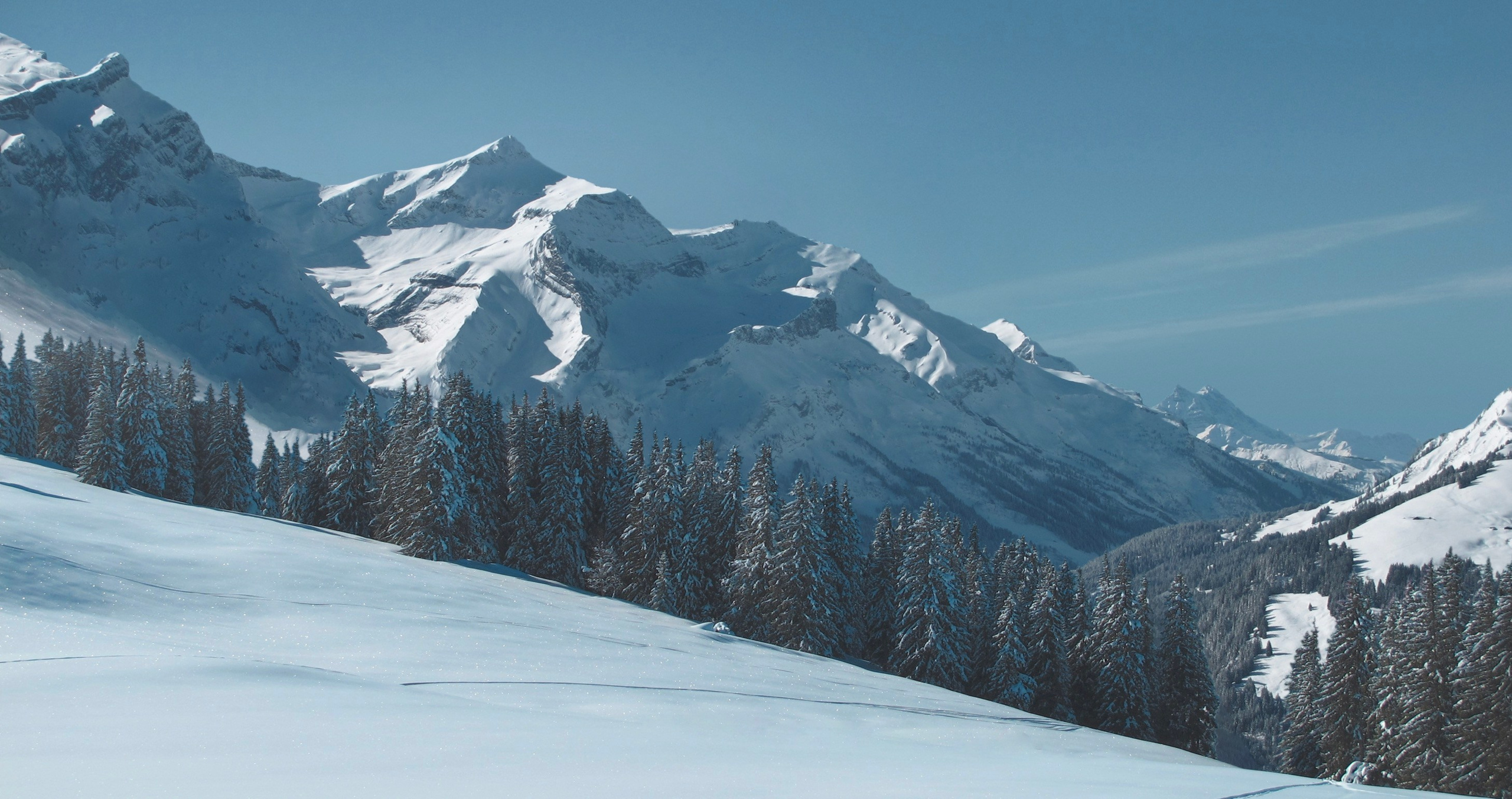 MATTE PAINT. ArtistSOS