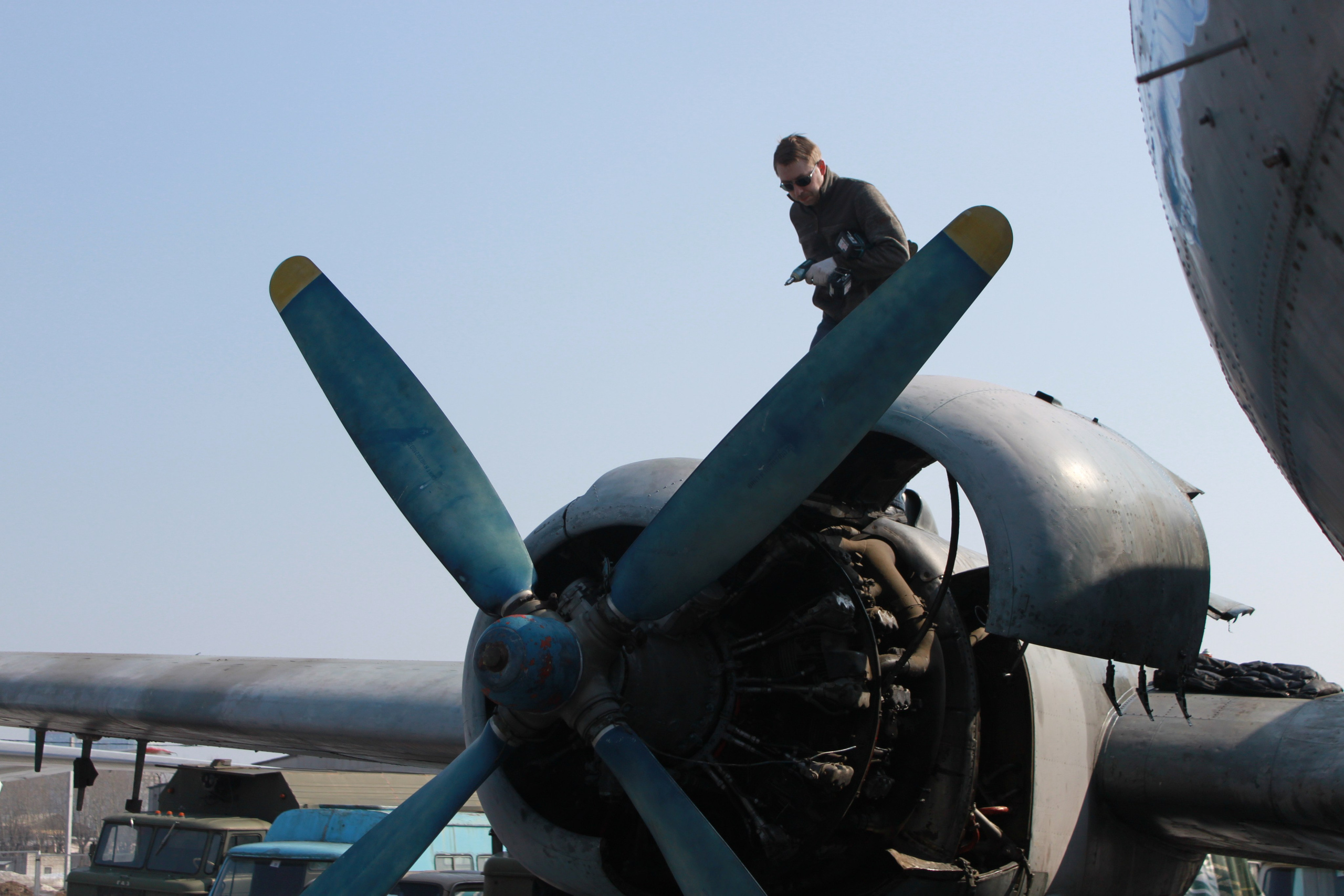 Ил-14Т «Голубая Мечта» работы в Тушино (2011 г.). Фотоальбом показывающий увлекательный мир авиации и мир медведей Андрея Иванова