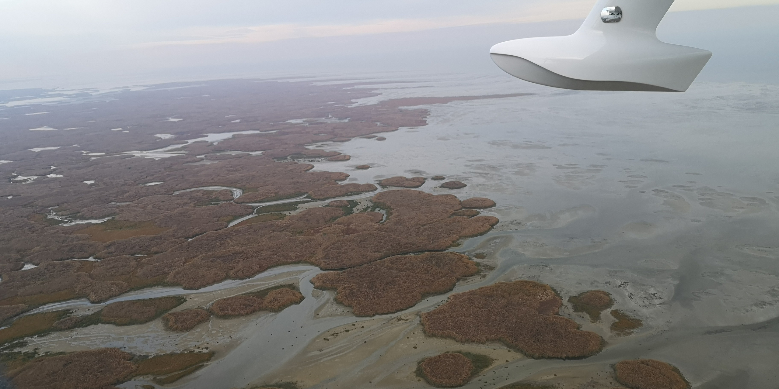 Каспийское море (наука на Ла-8) (2021 г.). Фотоальбом показывающий увлекательный мир авиации и мир медведей Андрея Иванова